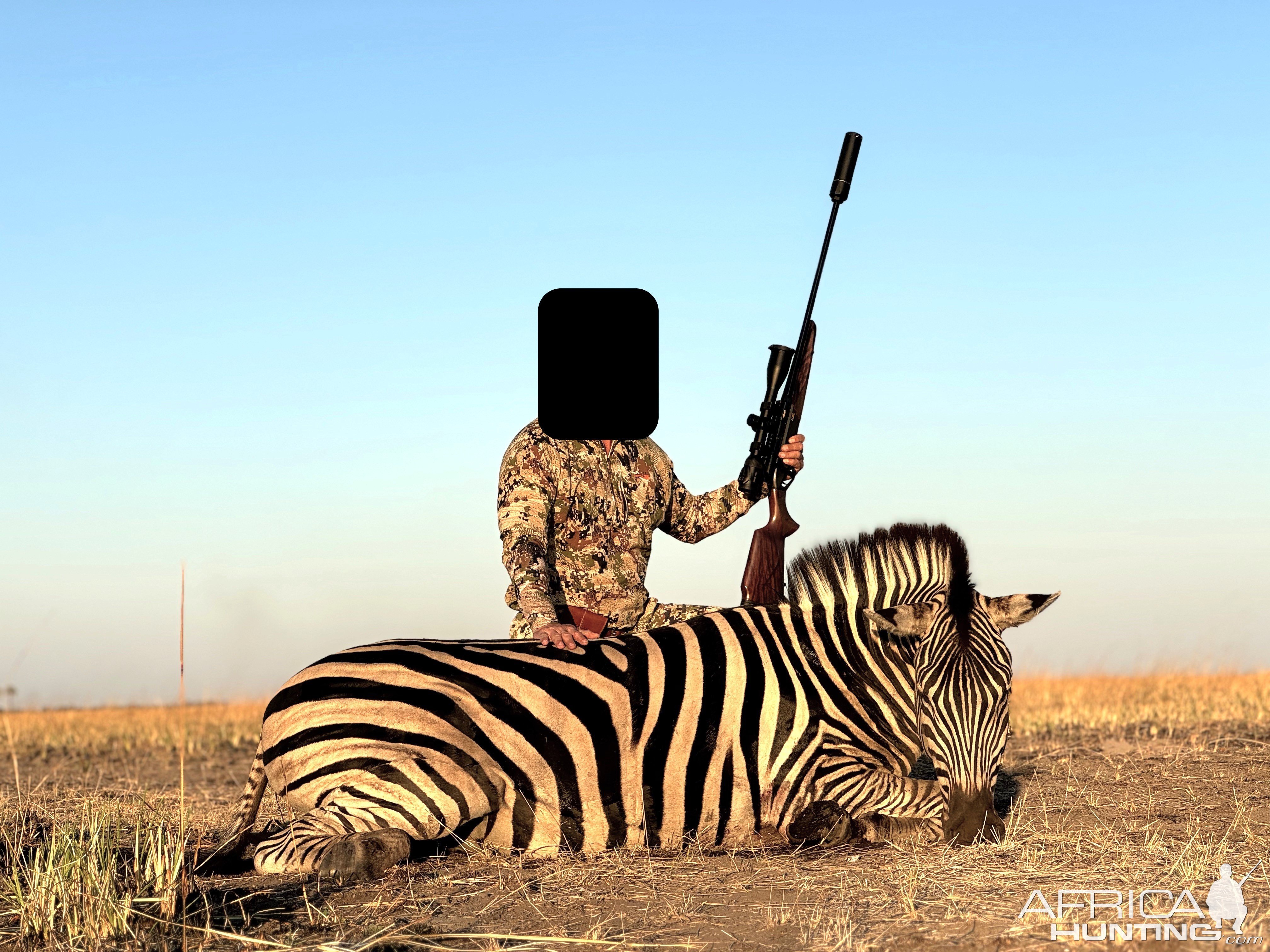 Zebra Hunt Namibia