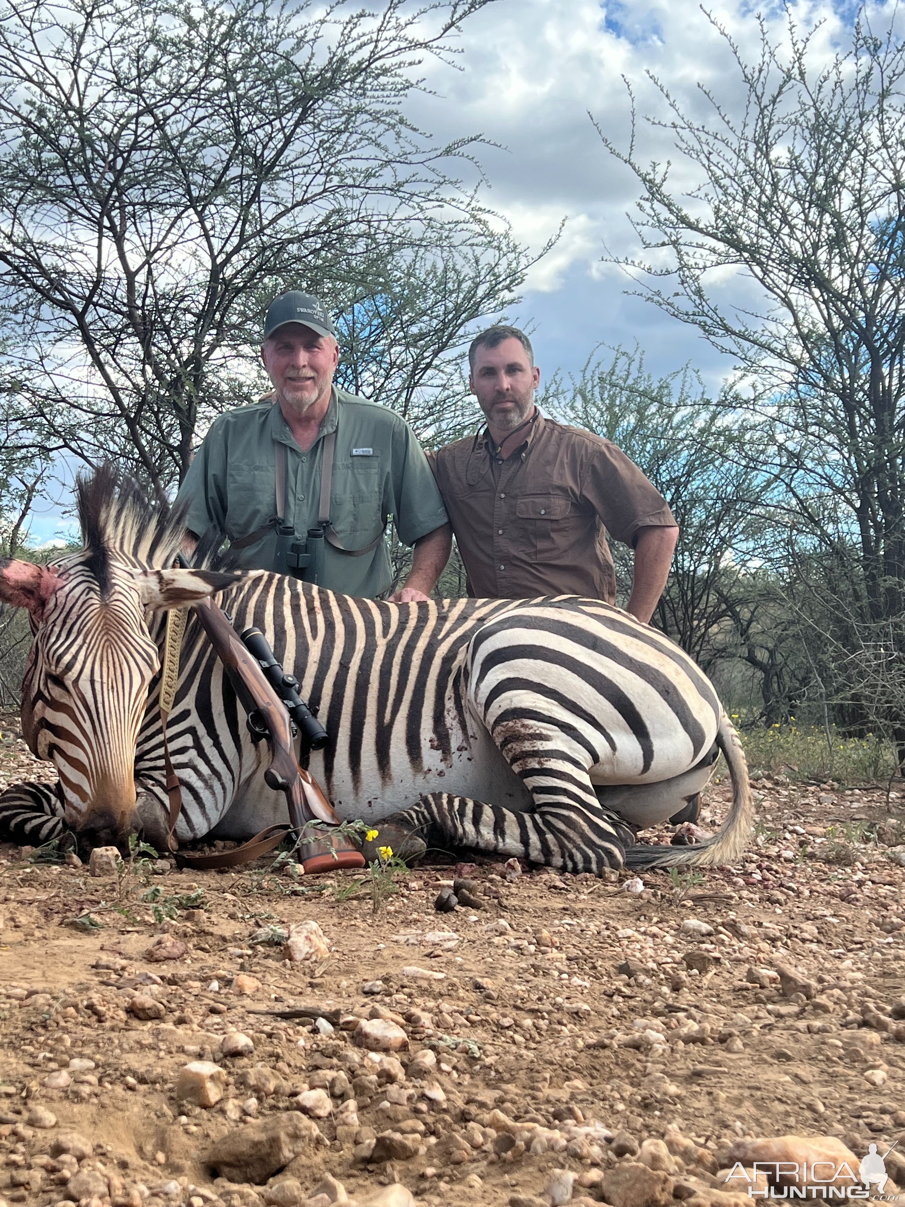 Zebra Hunt Namibia