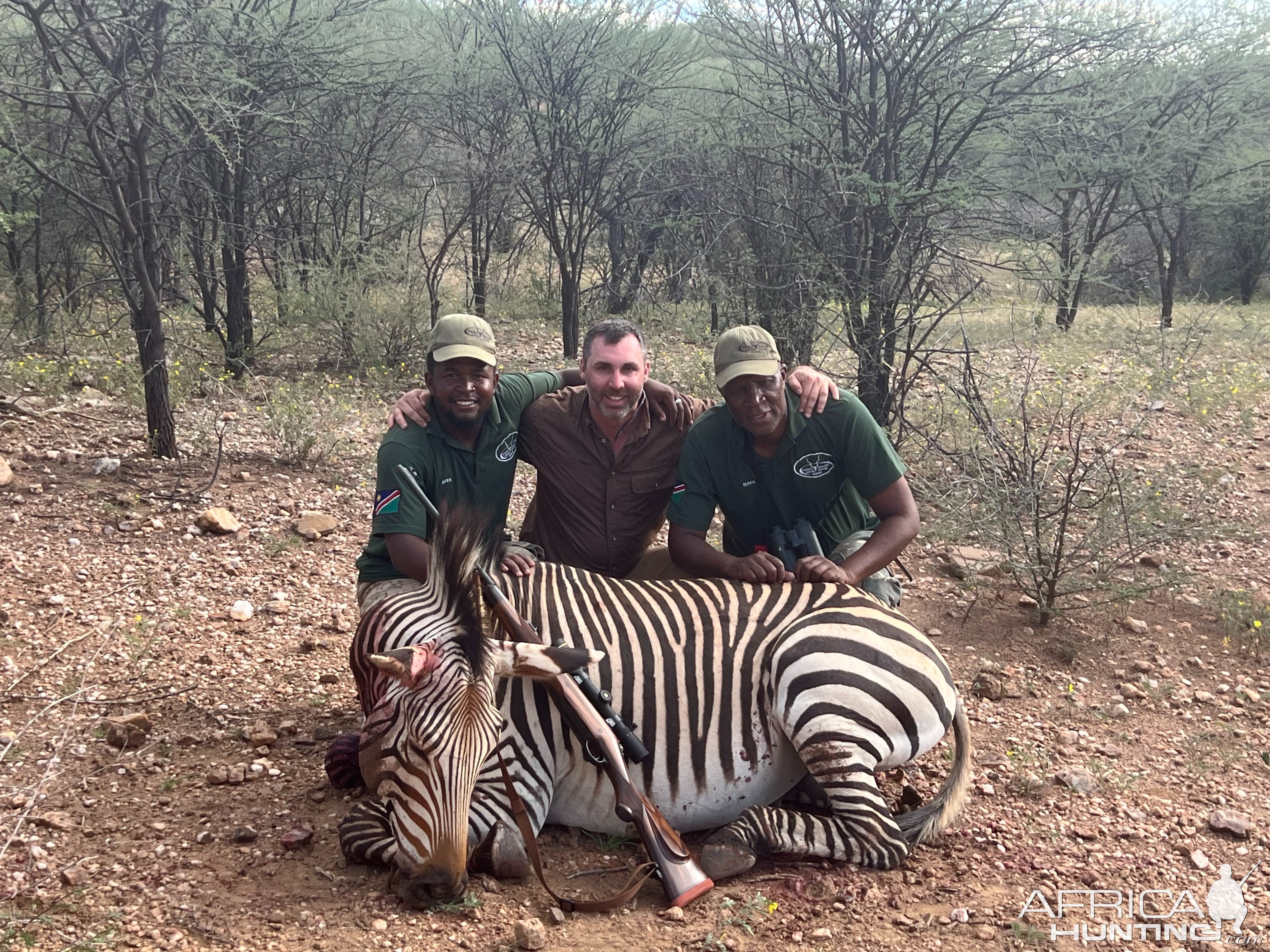 Zebra Hunt Namibia