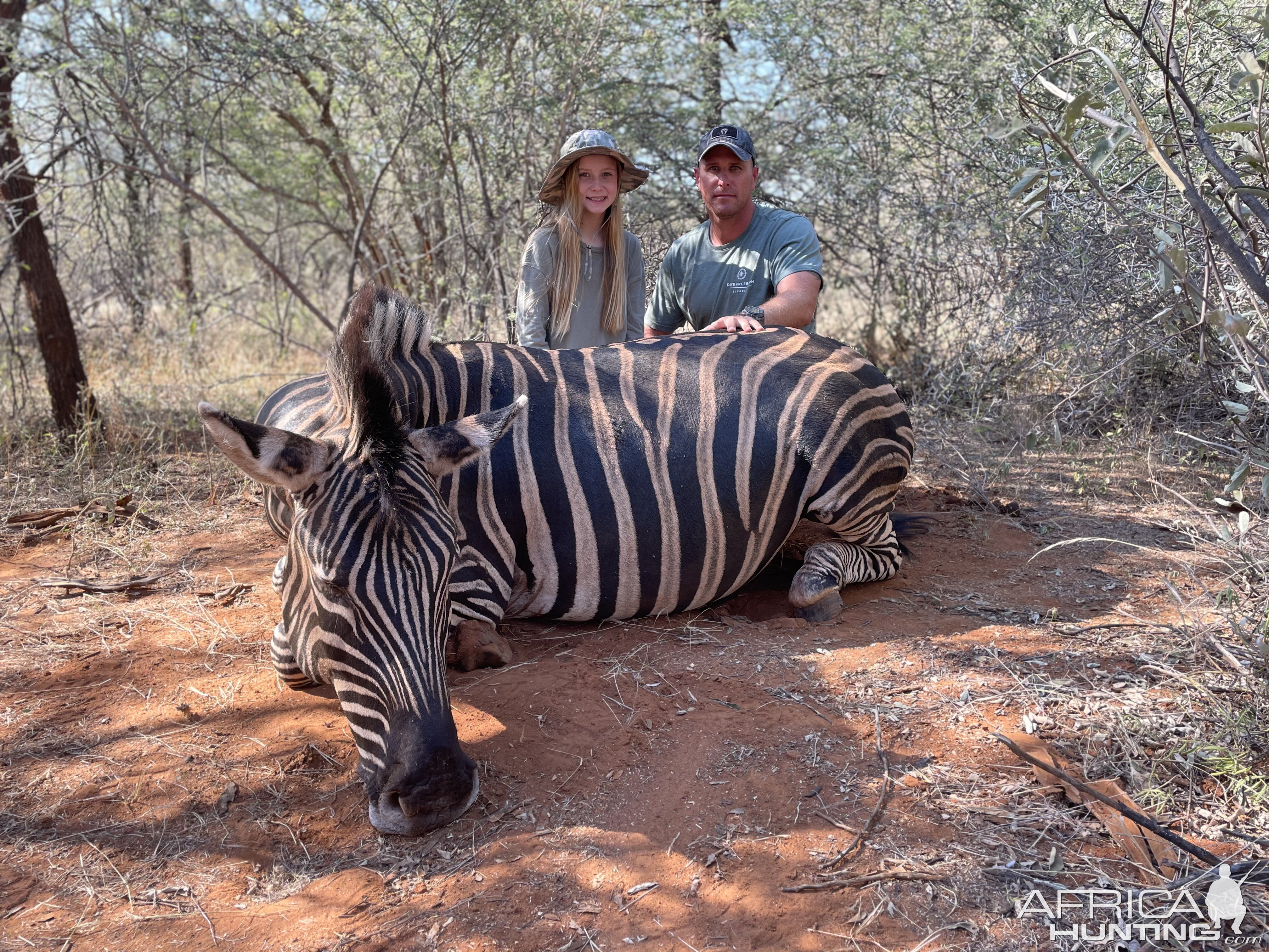 Zebra Hunt South Africa