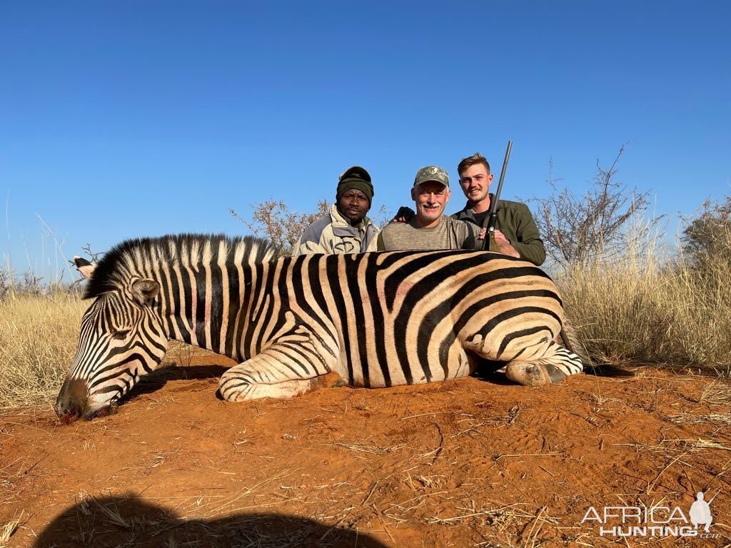 Zebra Hunt South Africa