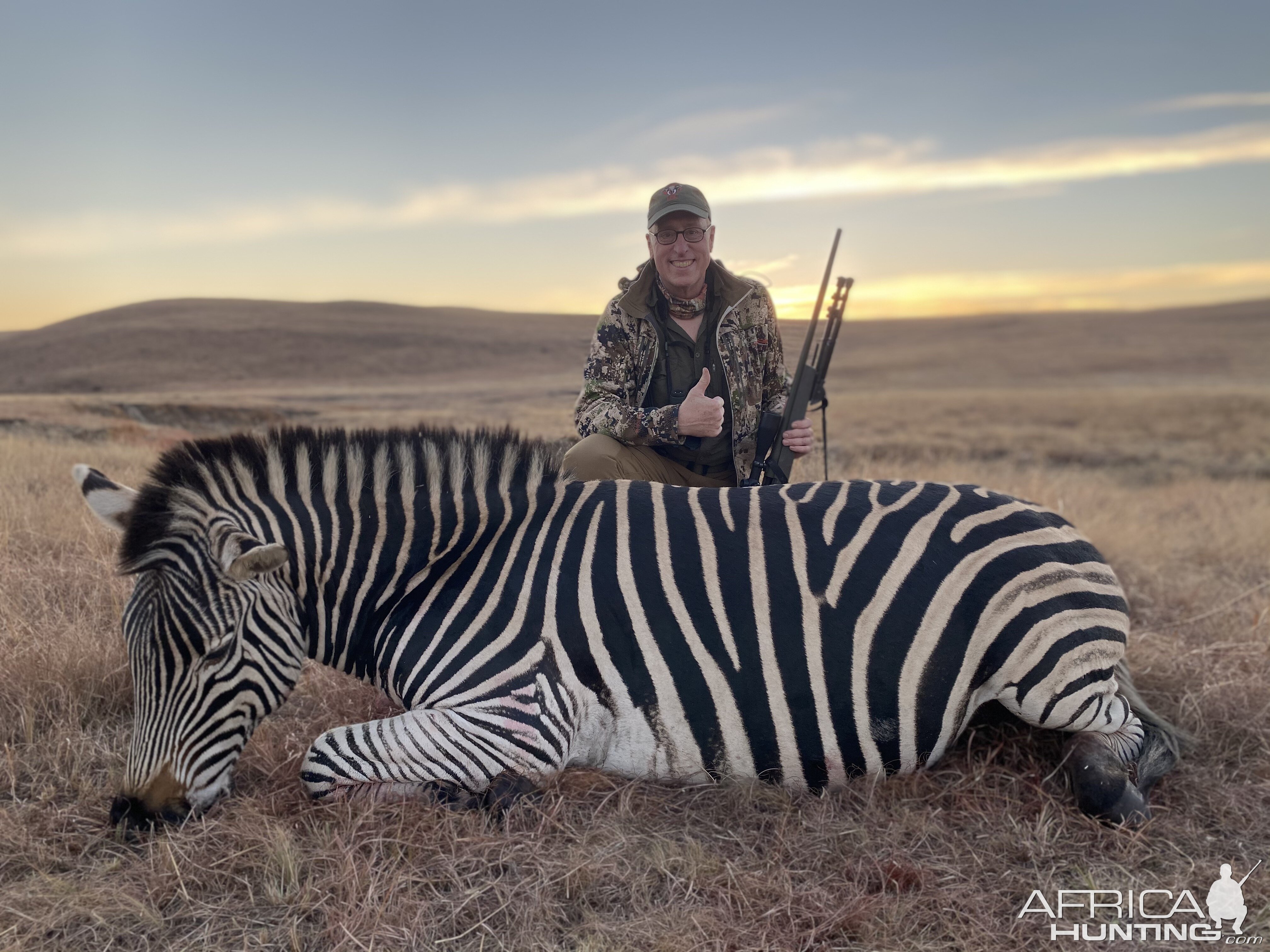 Zebra Hunt South Africa