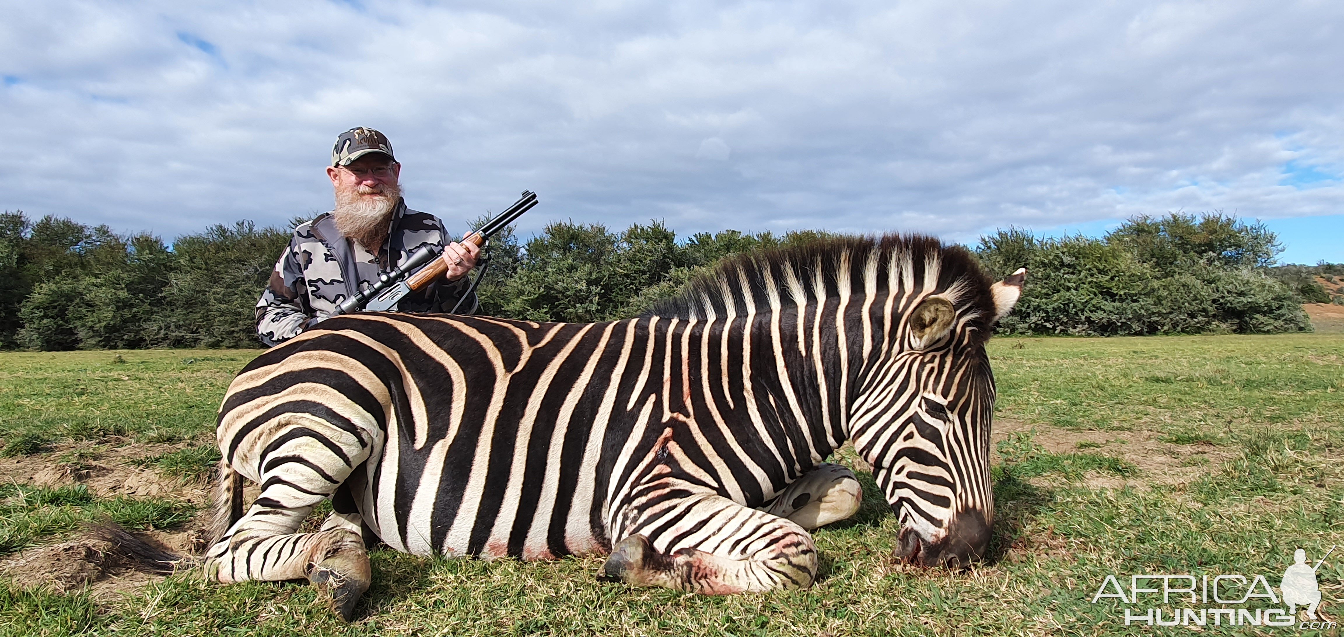 Zebra Hunt South Africa