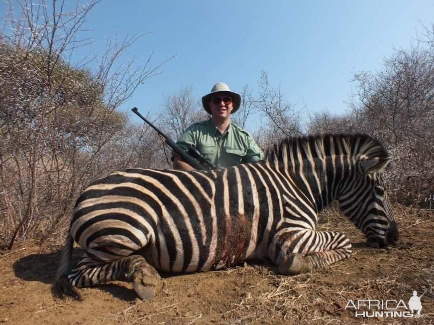 Zebra Hunt South Africa