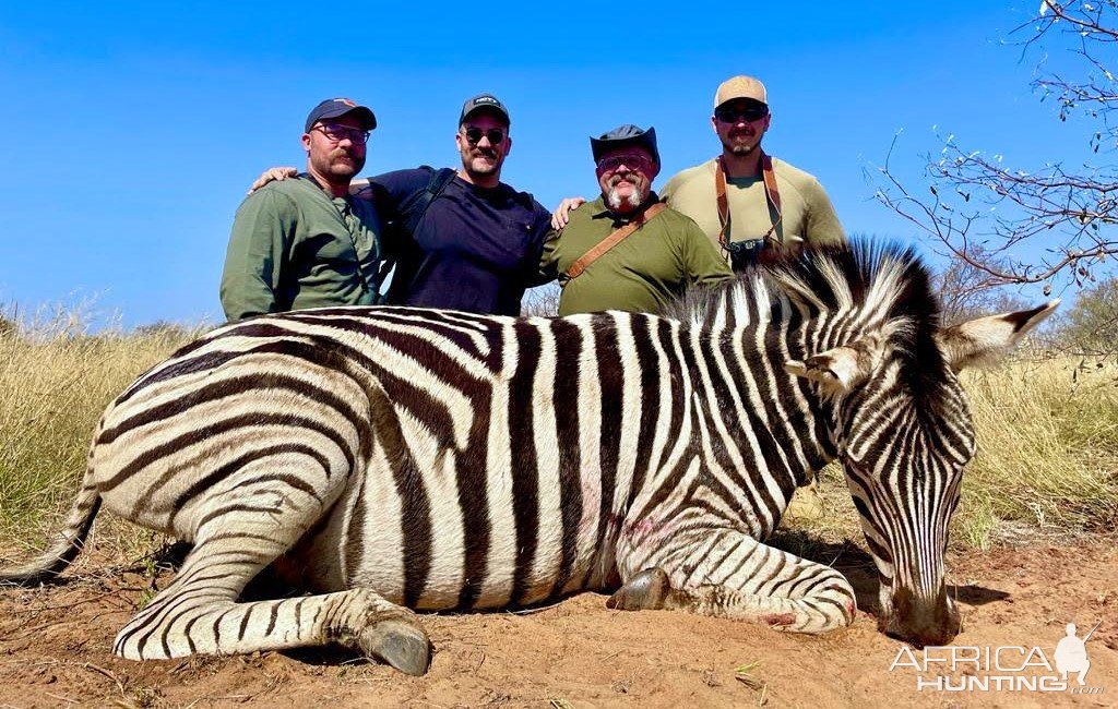 Zebra Hunt South Africa