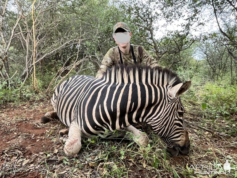 Zebra Hunt South Africa