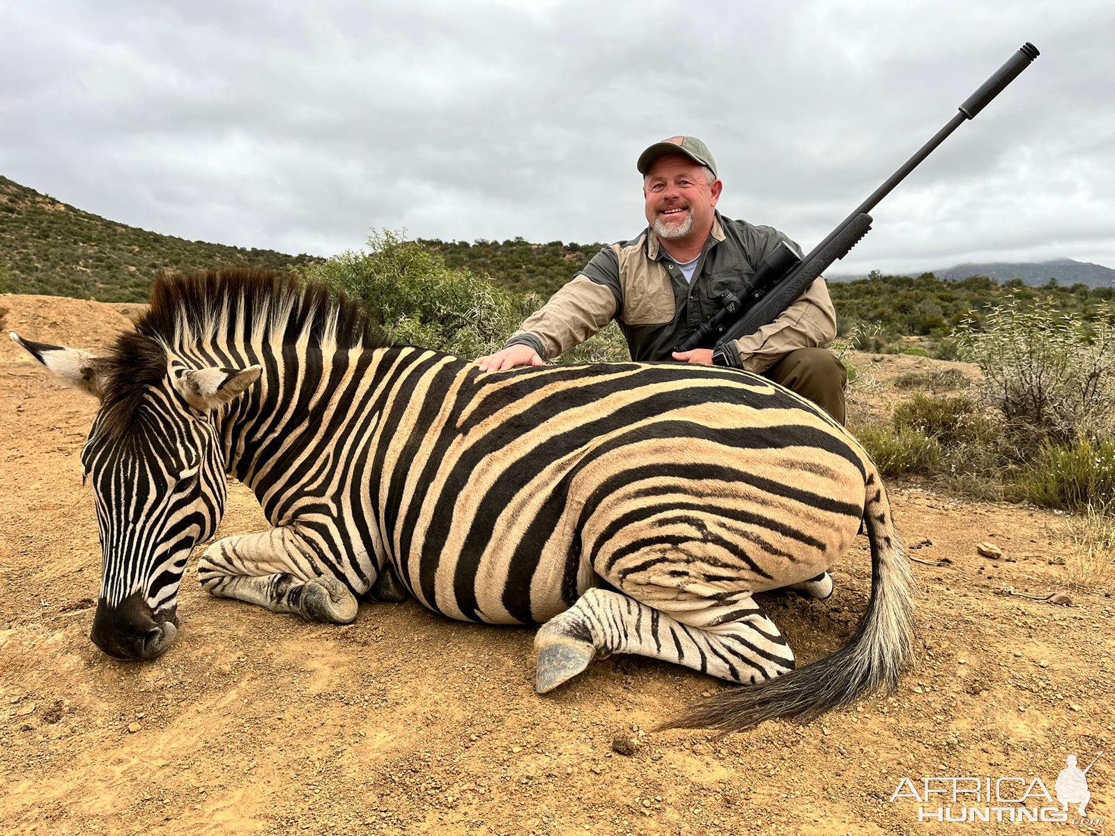 Zebra Hunt South Africa