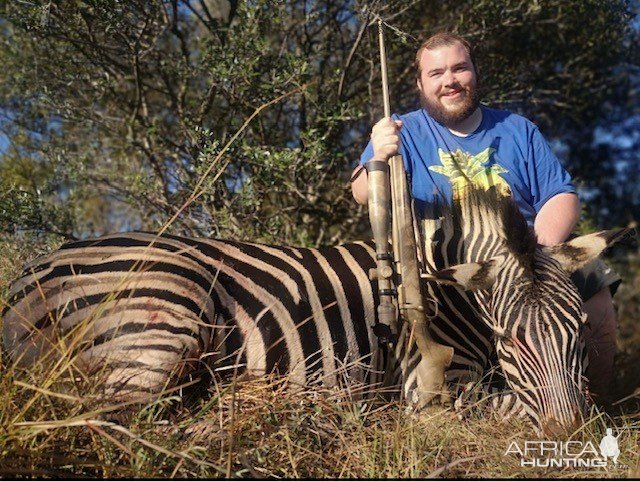 Zebra Hunt South Africa