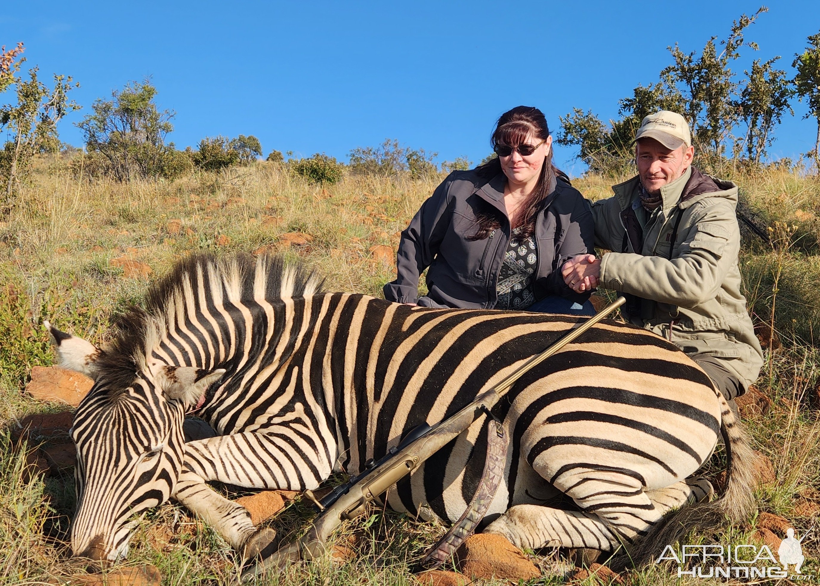 Zebra Hunt South Africa