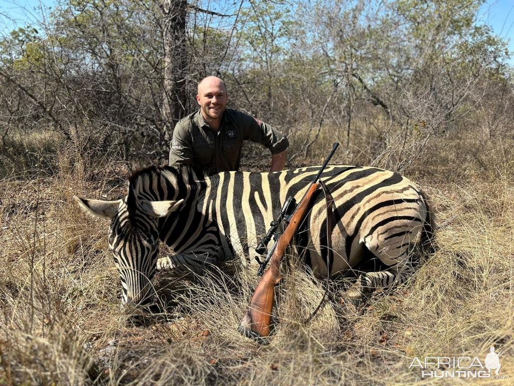 Zebra Hunt South Africa