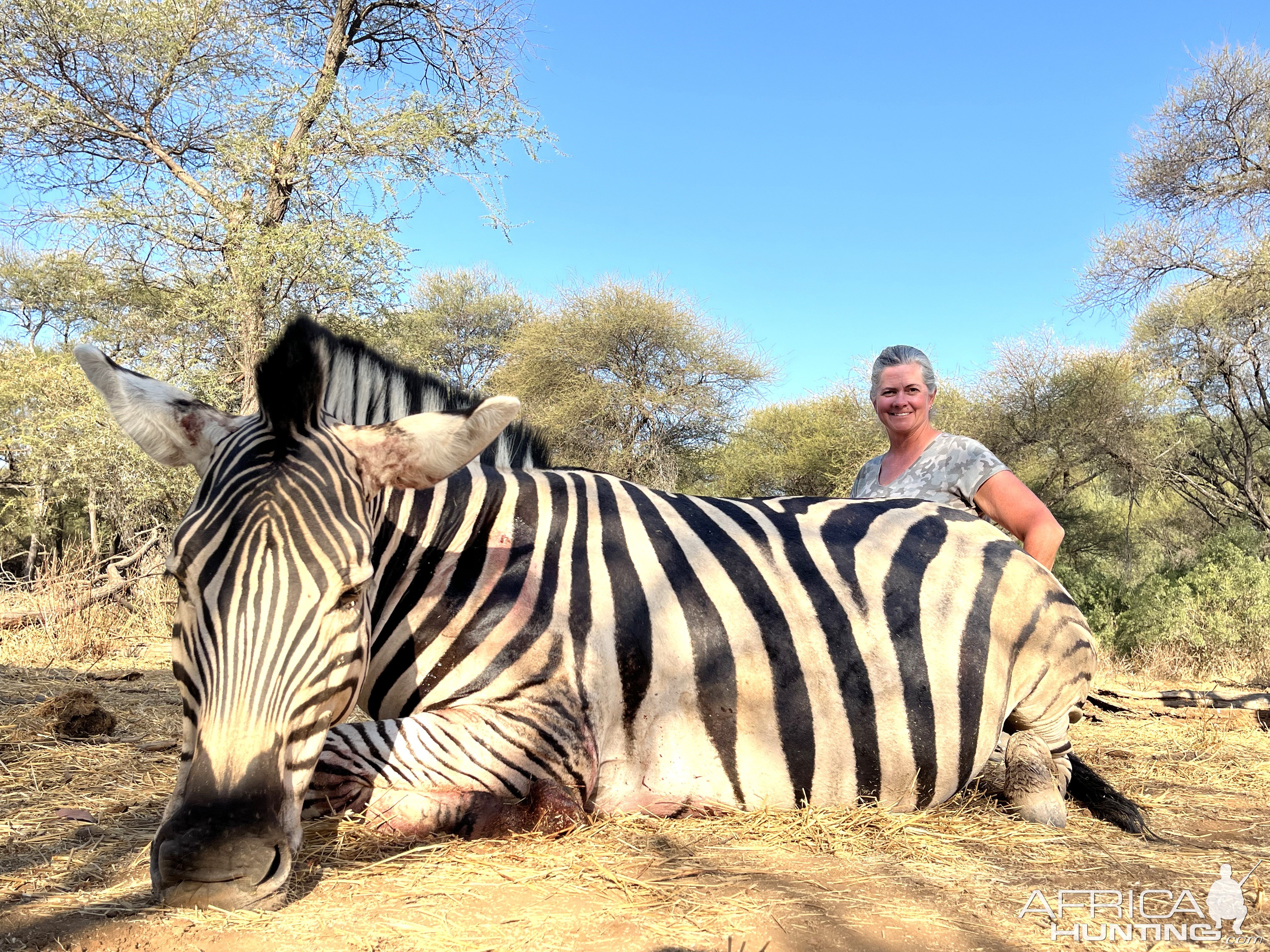 Zebra Hunt South Africa