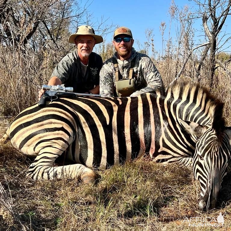 Zebra Hunt South Africa