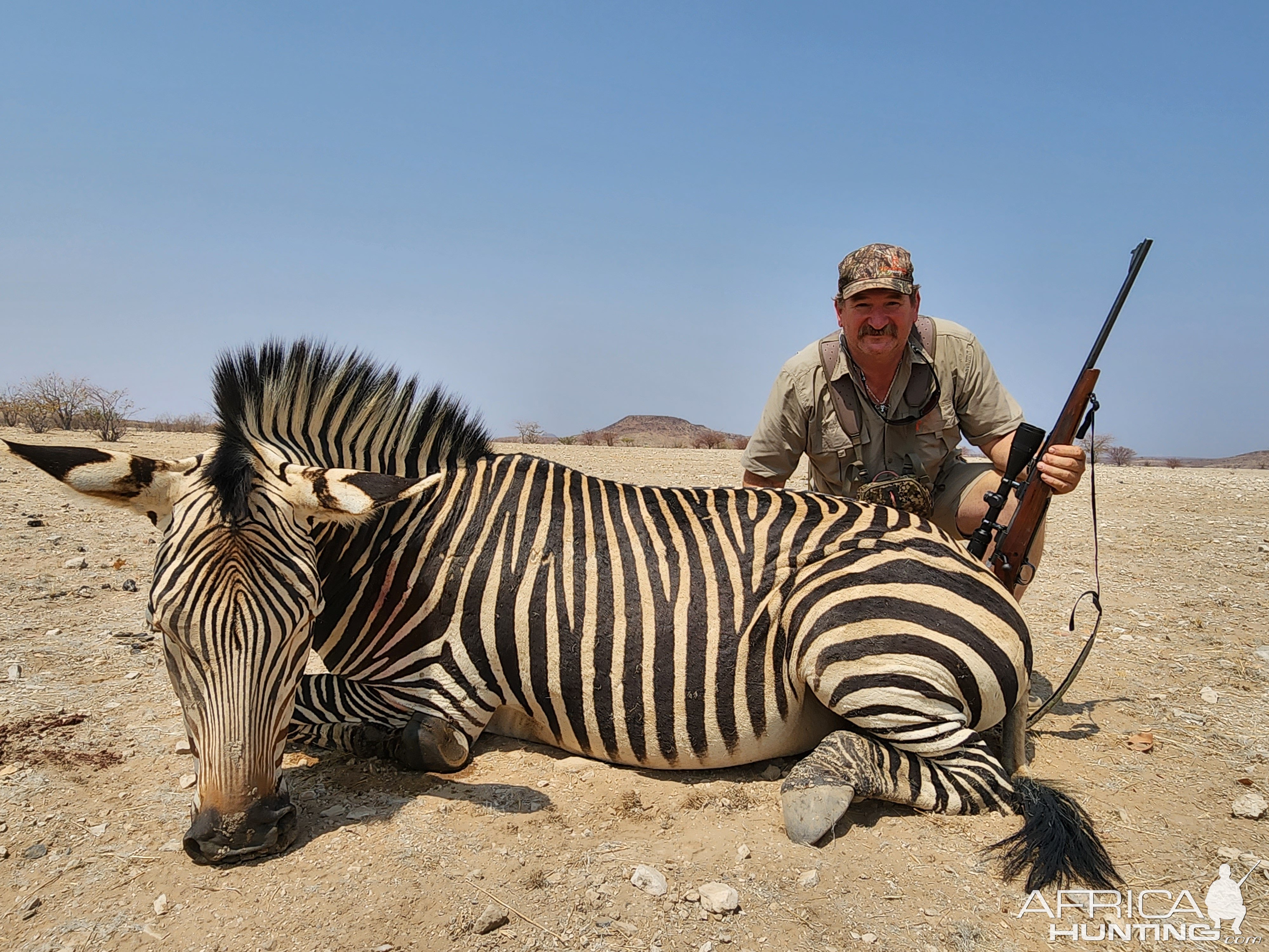 Zebra Hunt South Africa