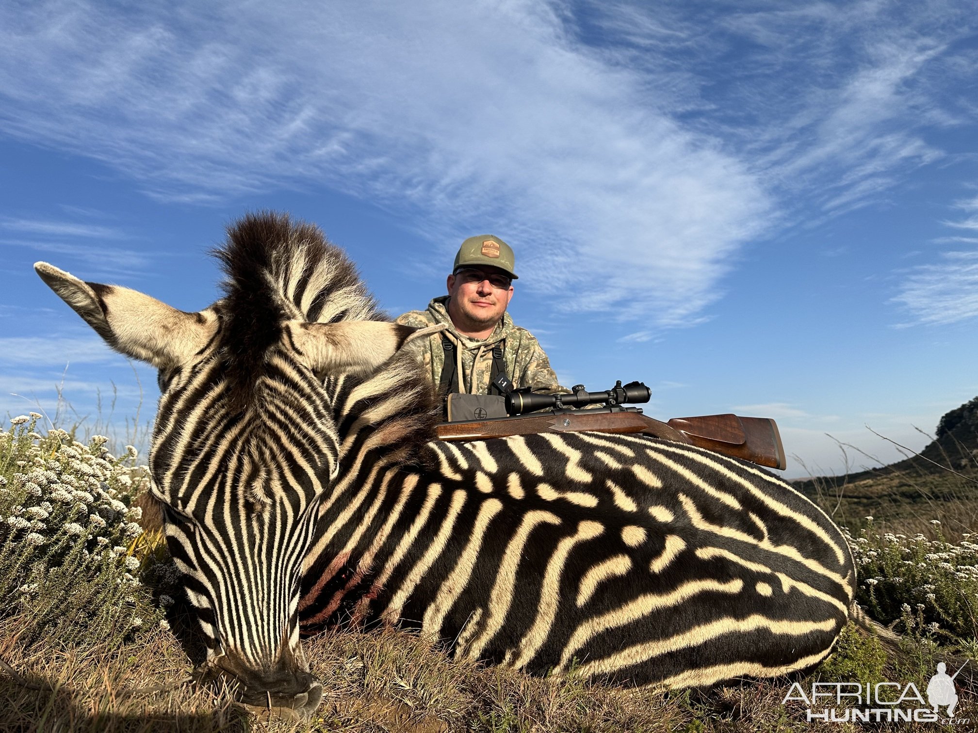 Zebra Hunt South Africa