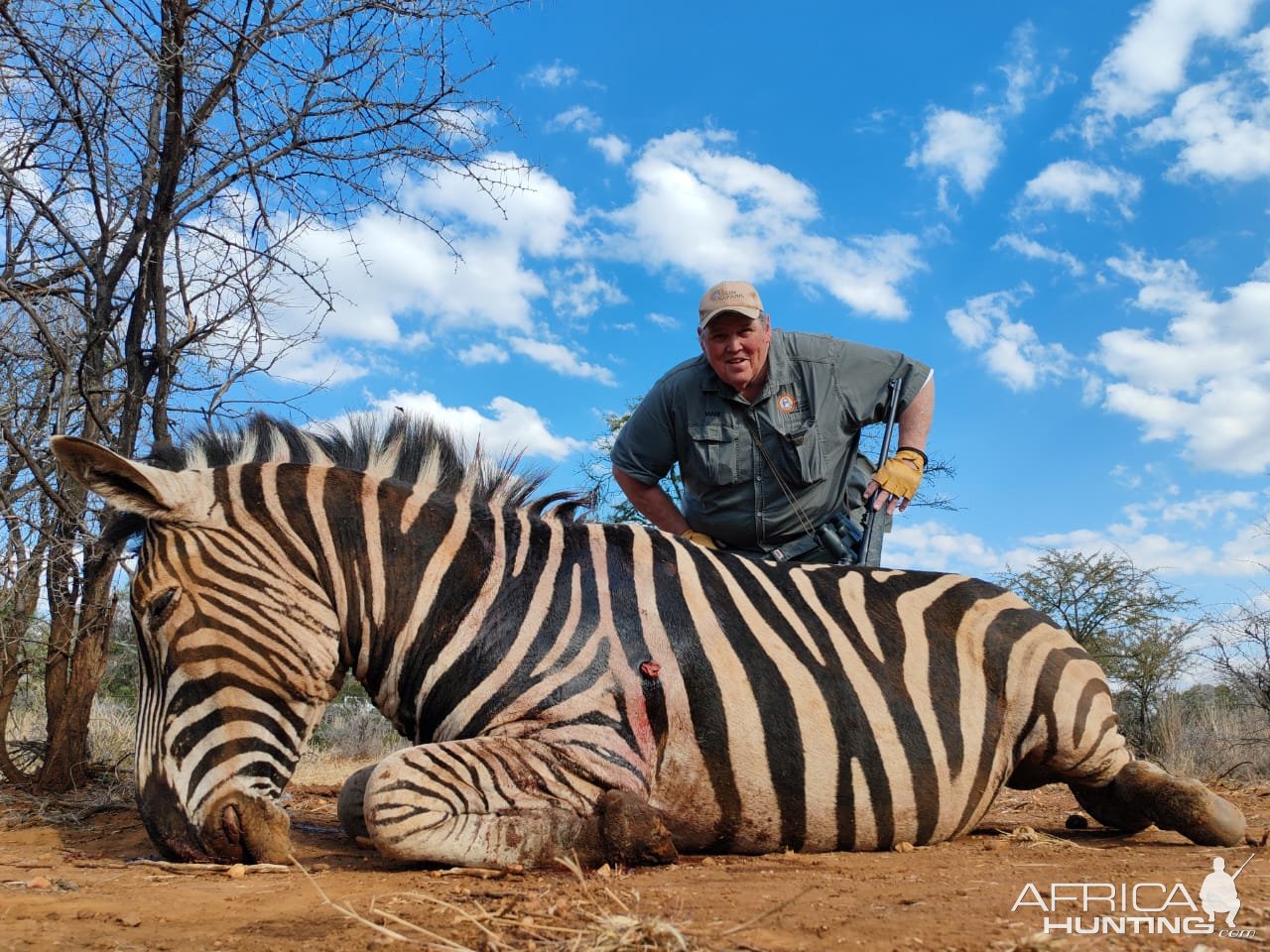 Zebra Hunt South Africa