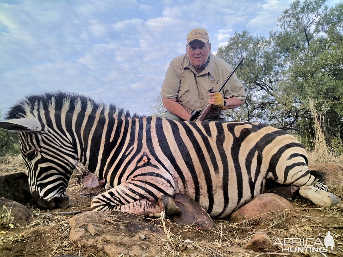 Zebra Hunt South Africa