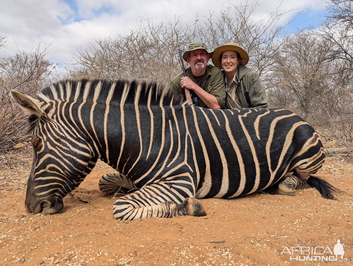 Zebra Hunt South Africa