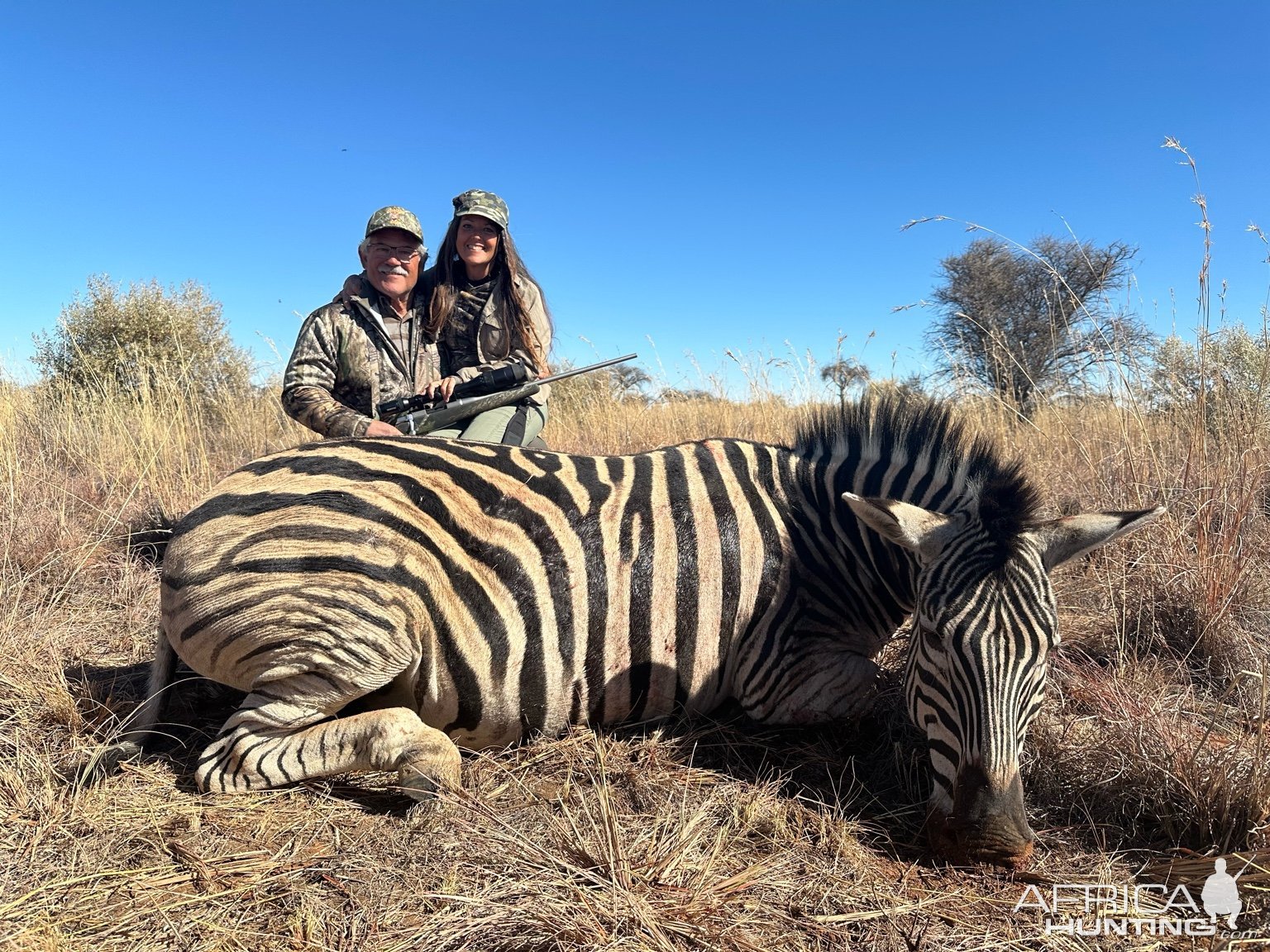 Zebra Hunt South Africa