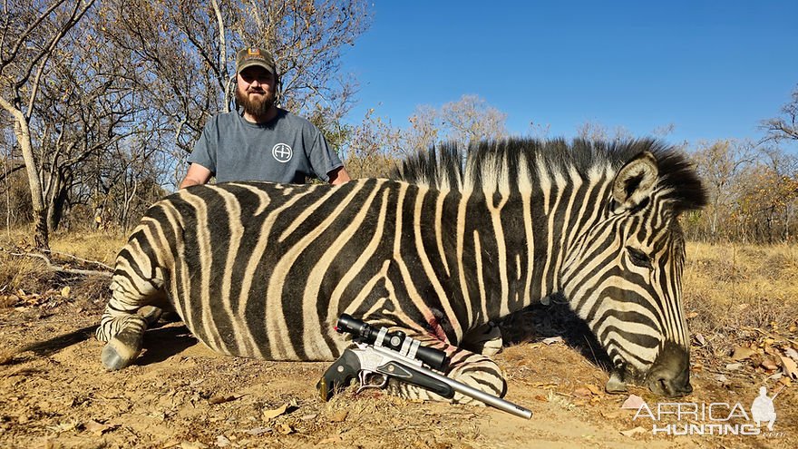 Zebra Hunt South Africa