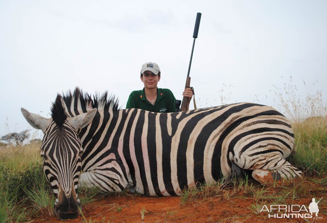 Zebra Hunt South Africa