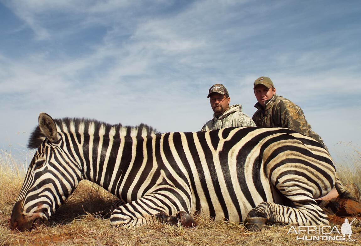 Zebra Hunt South Africa