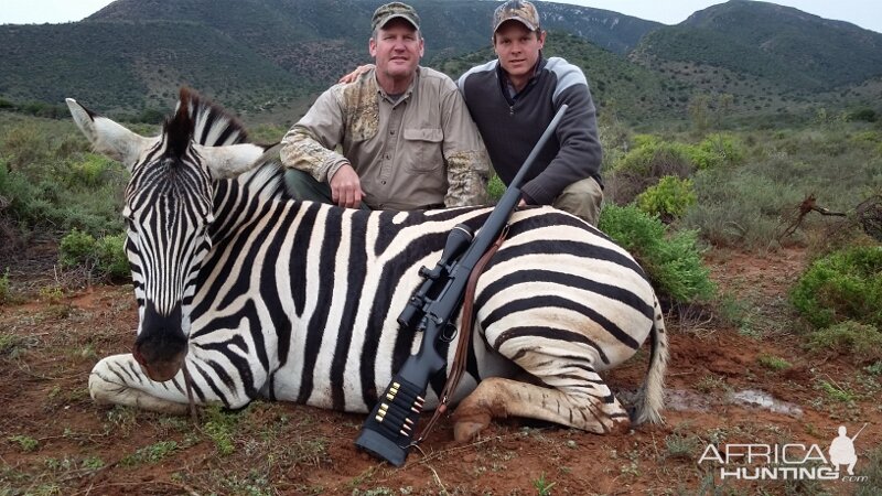 Zebra Hunt South Africa