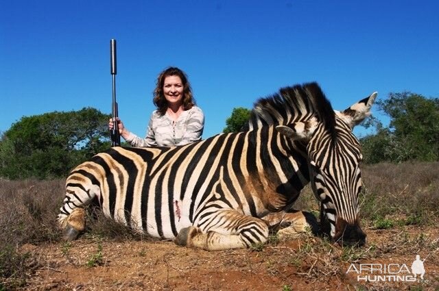 Zebra Hunt South Africa