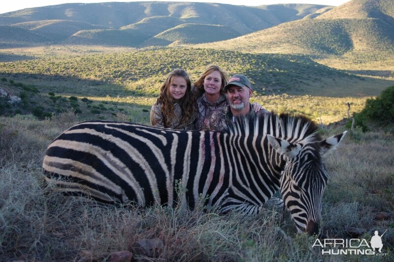 Zebra Hunt South Africa