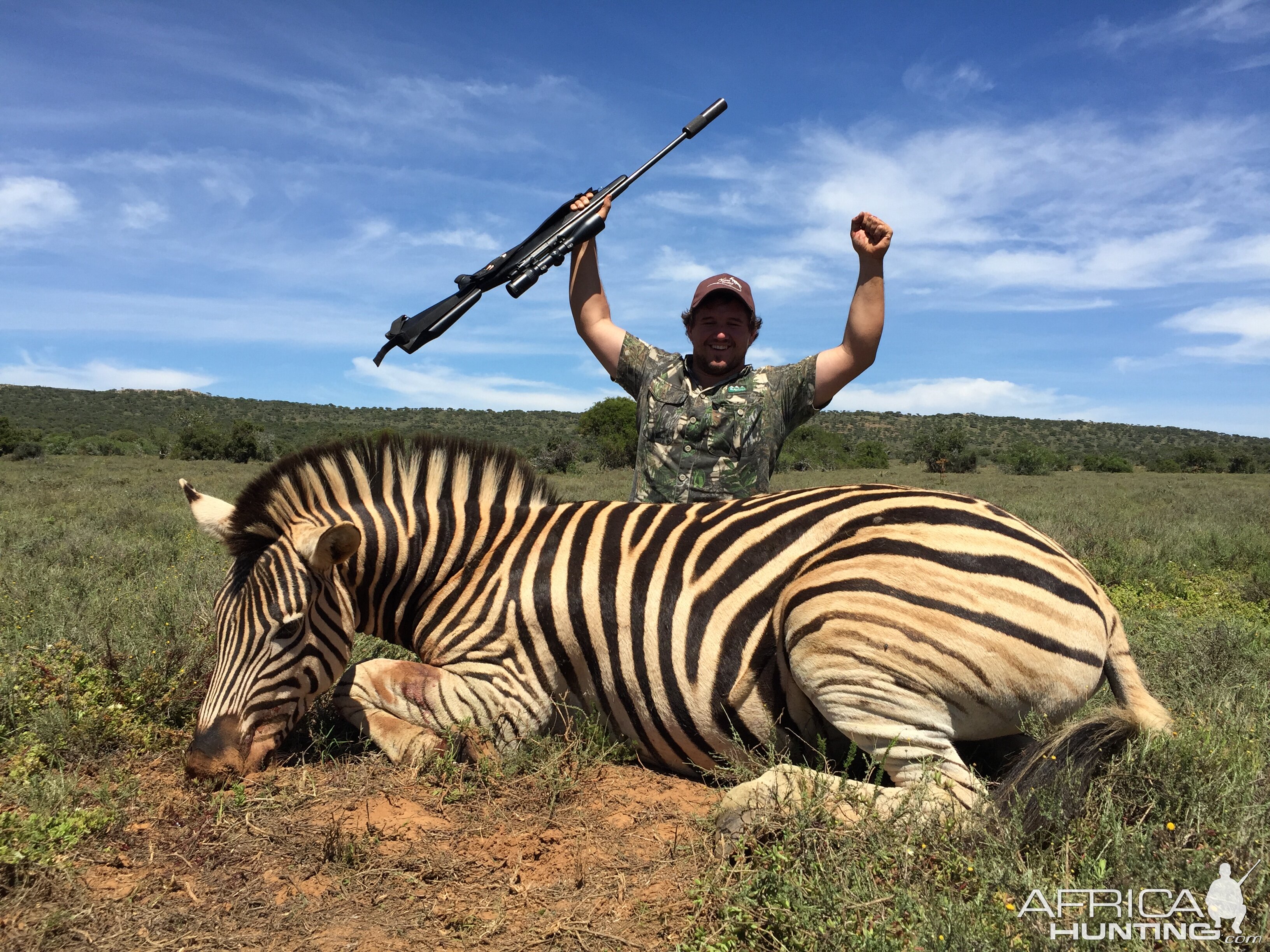 Zebra Hunt South Africa