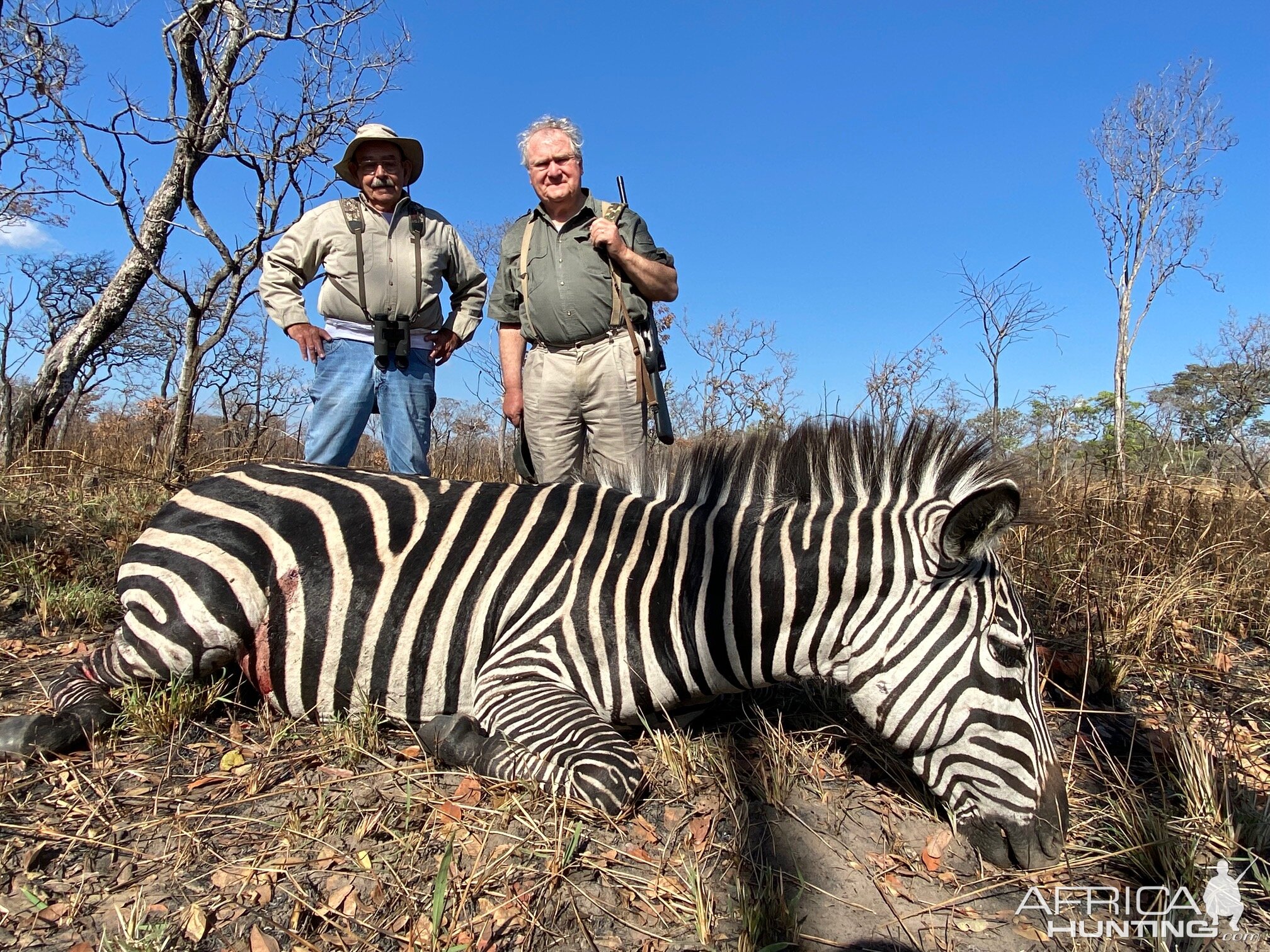 Zebra Hunt Tanzania