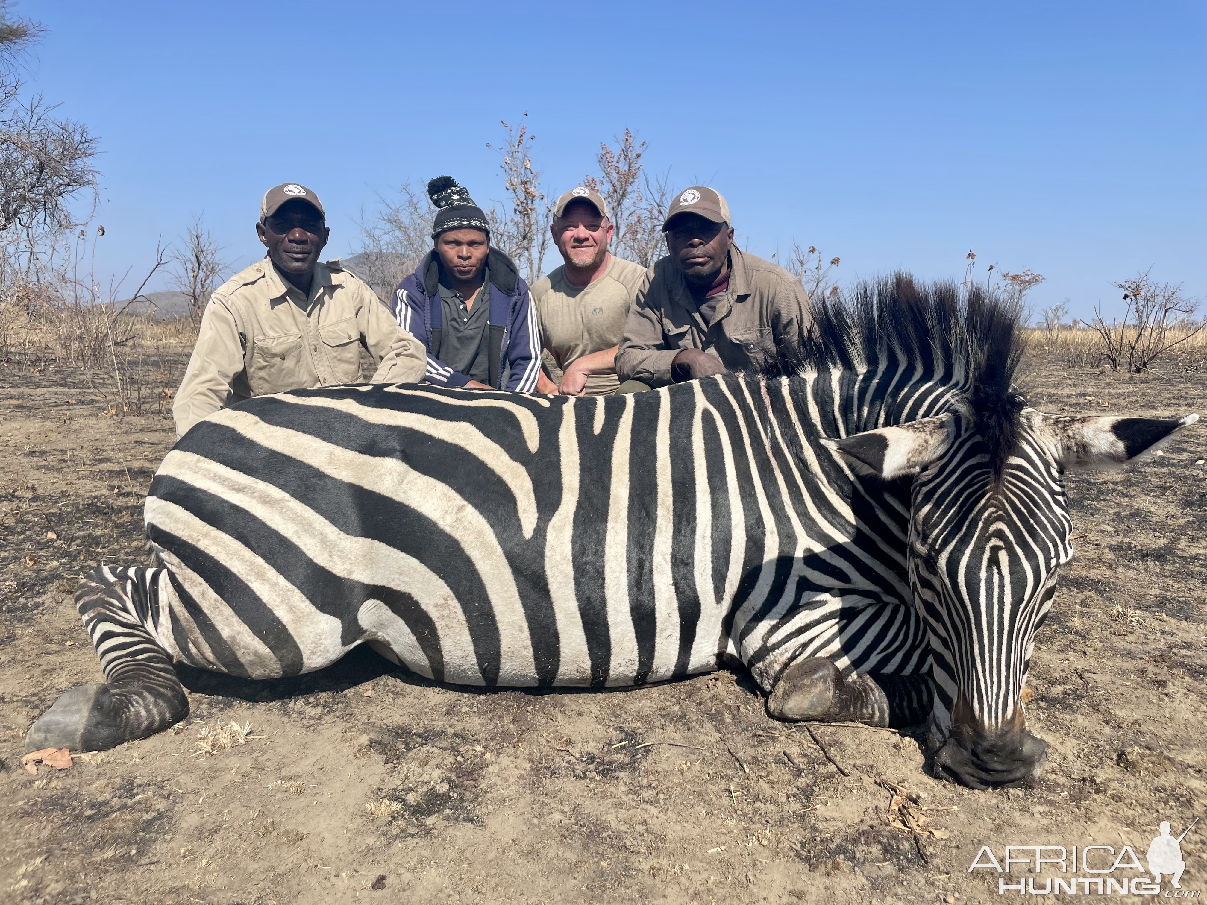 Zebra Hunt Tanzania