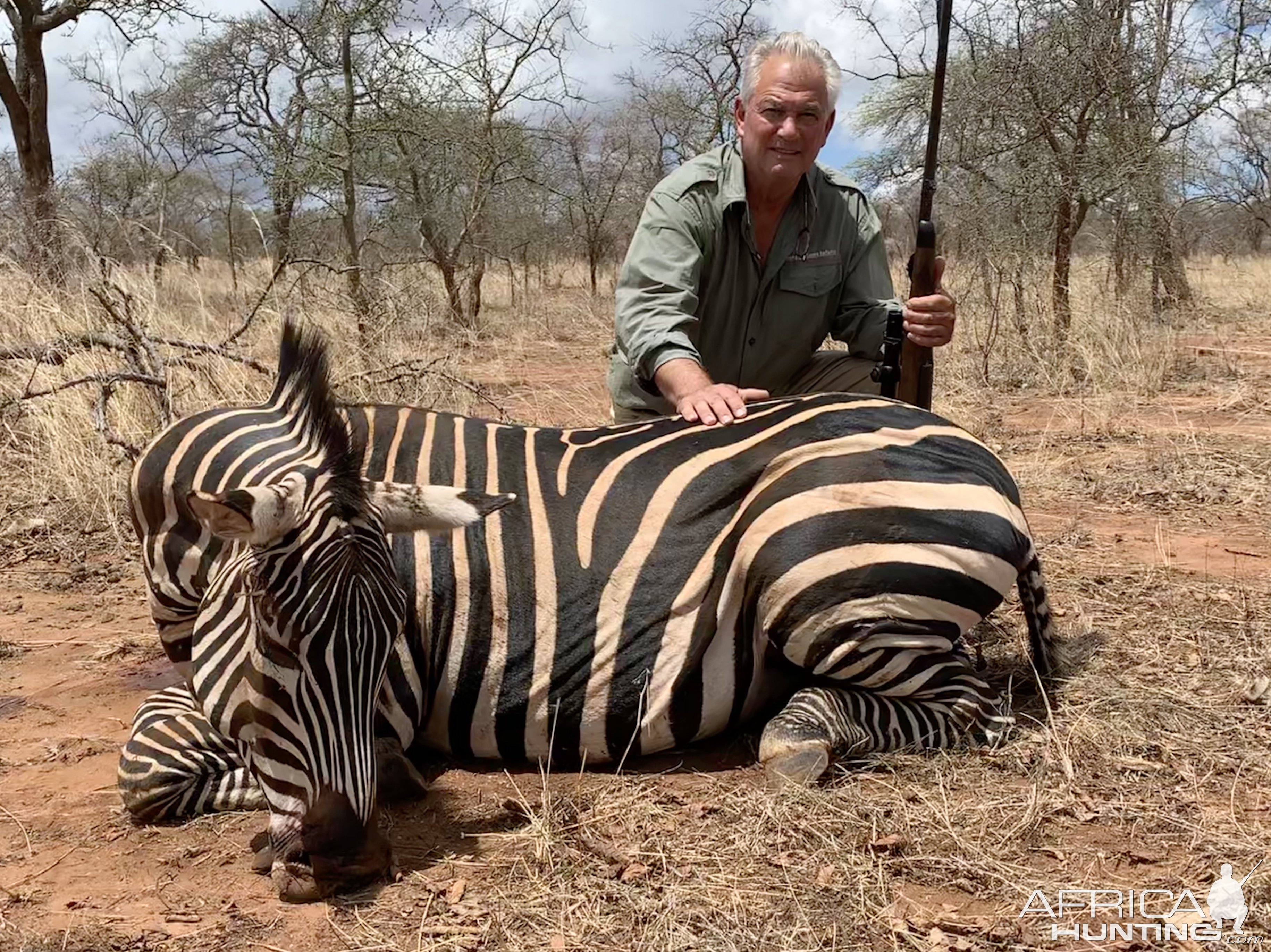 Zebra Hunt Tanzania