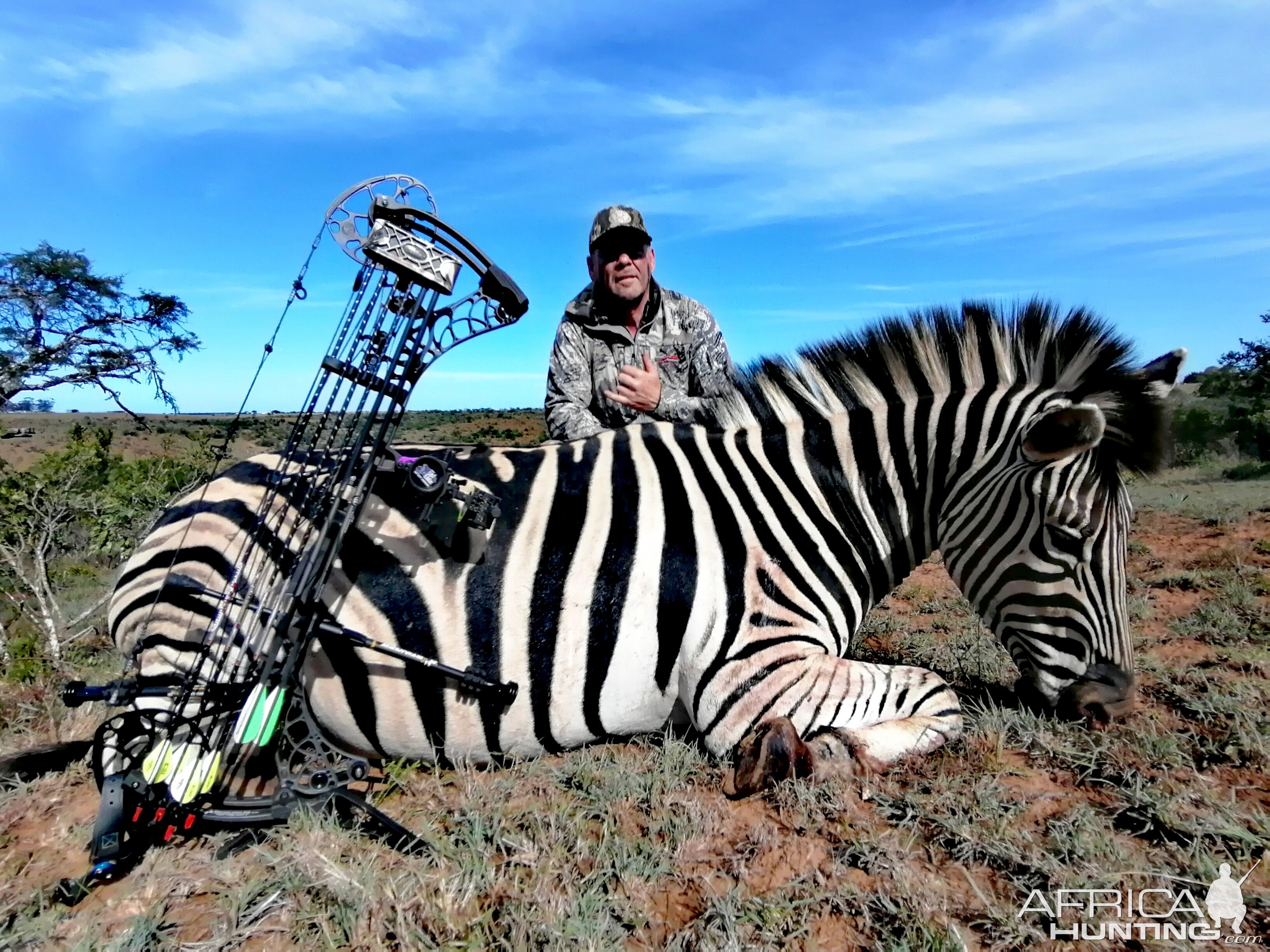 Zebra Hunt With Compound Bow