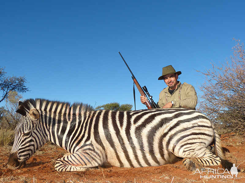 Zebra hunt with Wintershoek Johnny Vivier Safaris