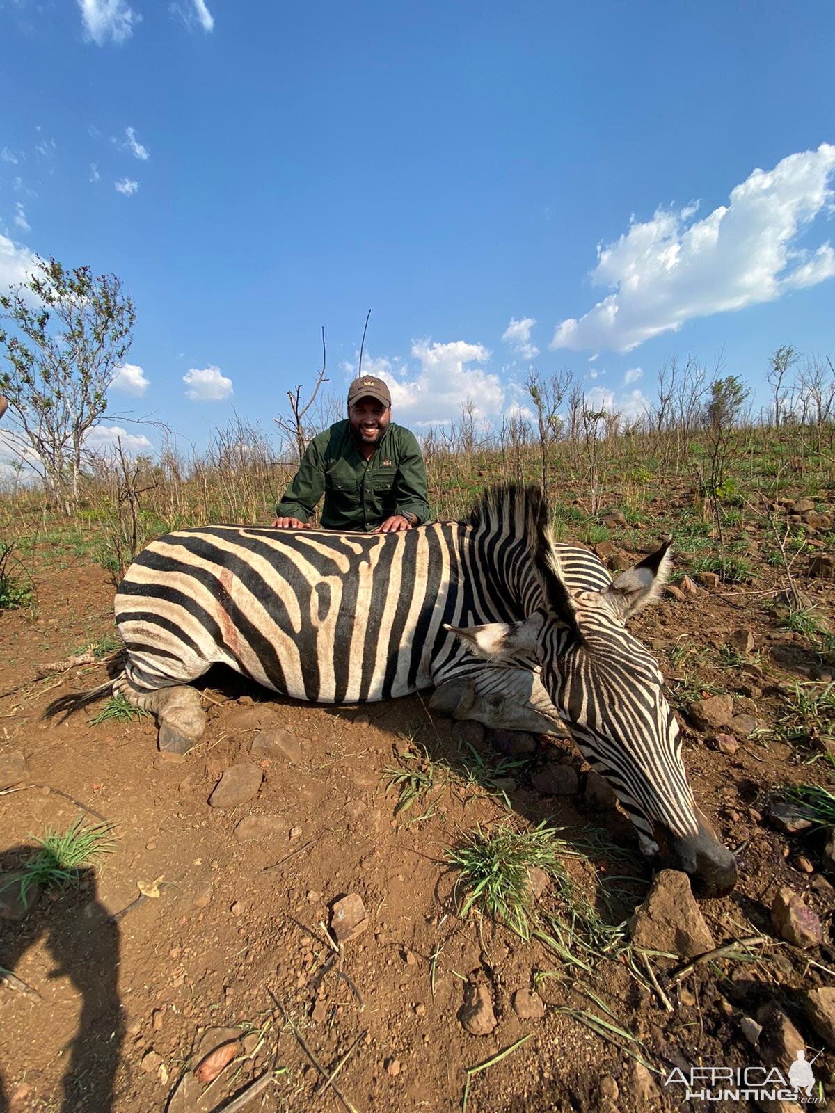 Zebra Hunt Zimbabwe