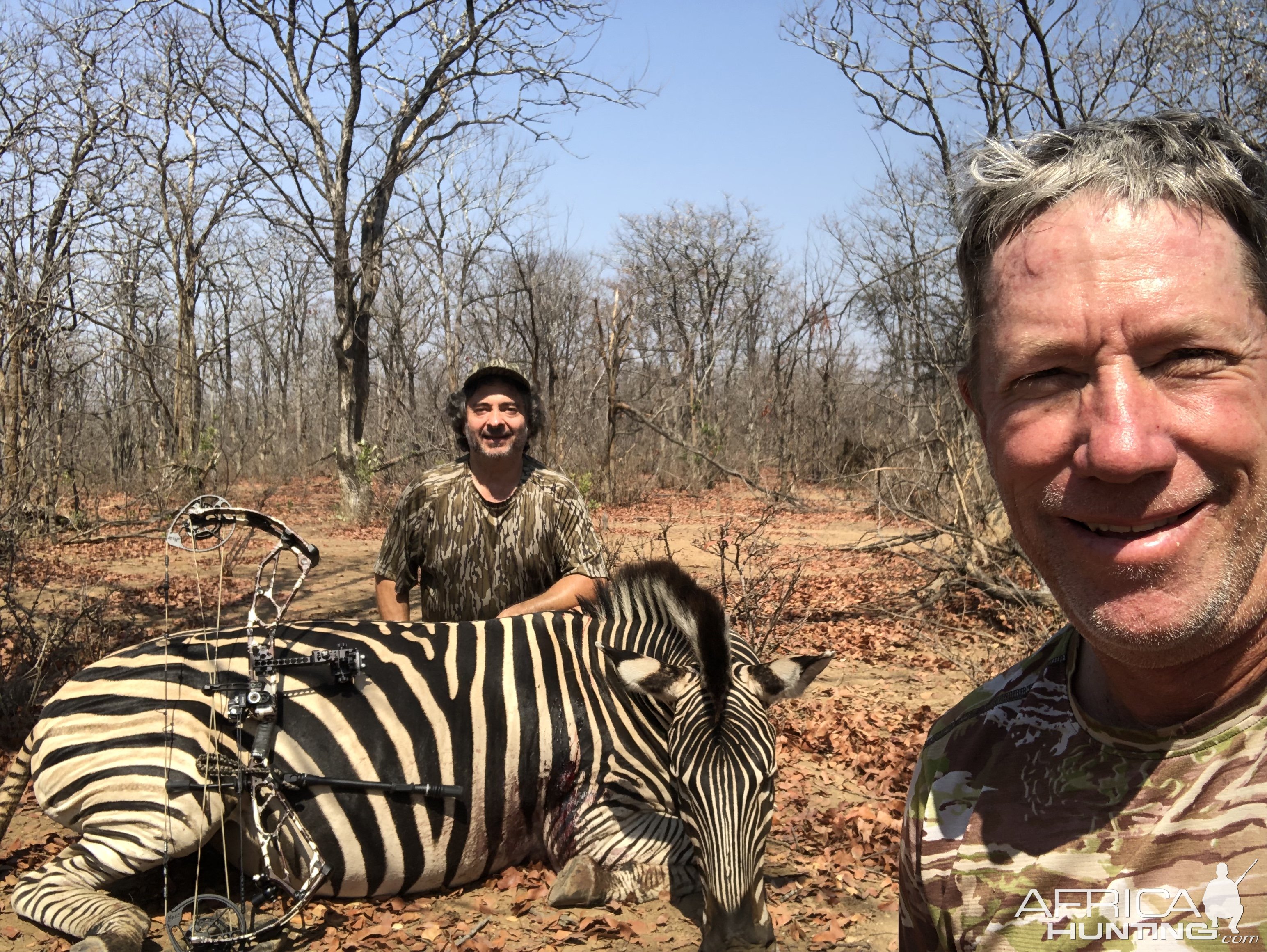 Zebra Hunt Zimbabwe