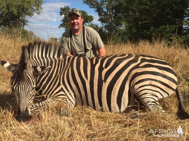 Zebra Hunt Zimbabwe