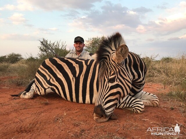 Zebra Hunt