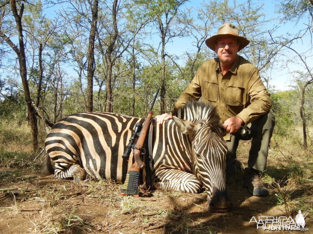 Zebra hunted in Limpopo SA