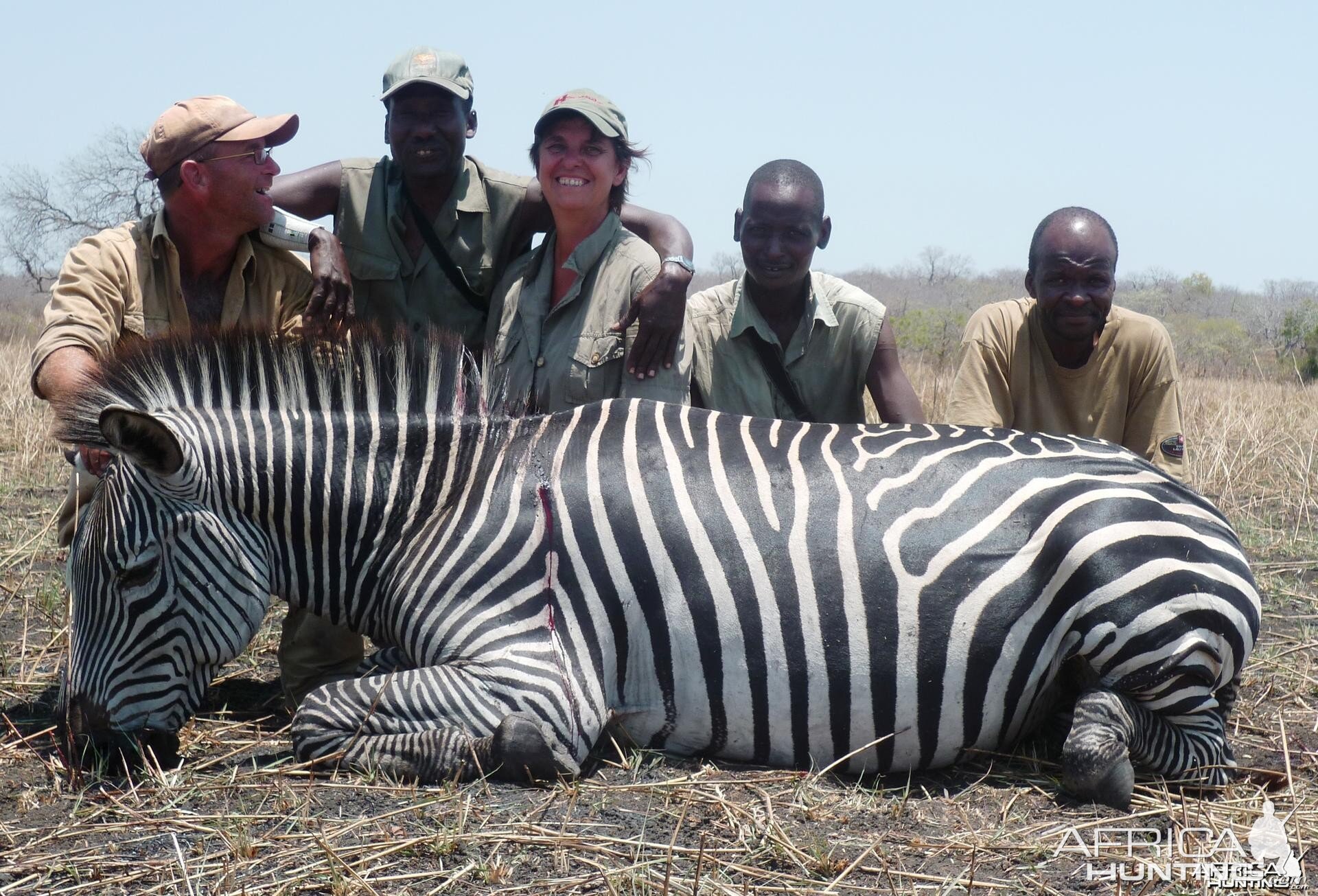 Zebra hunted in the Selous, Tanzania