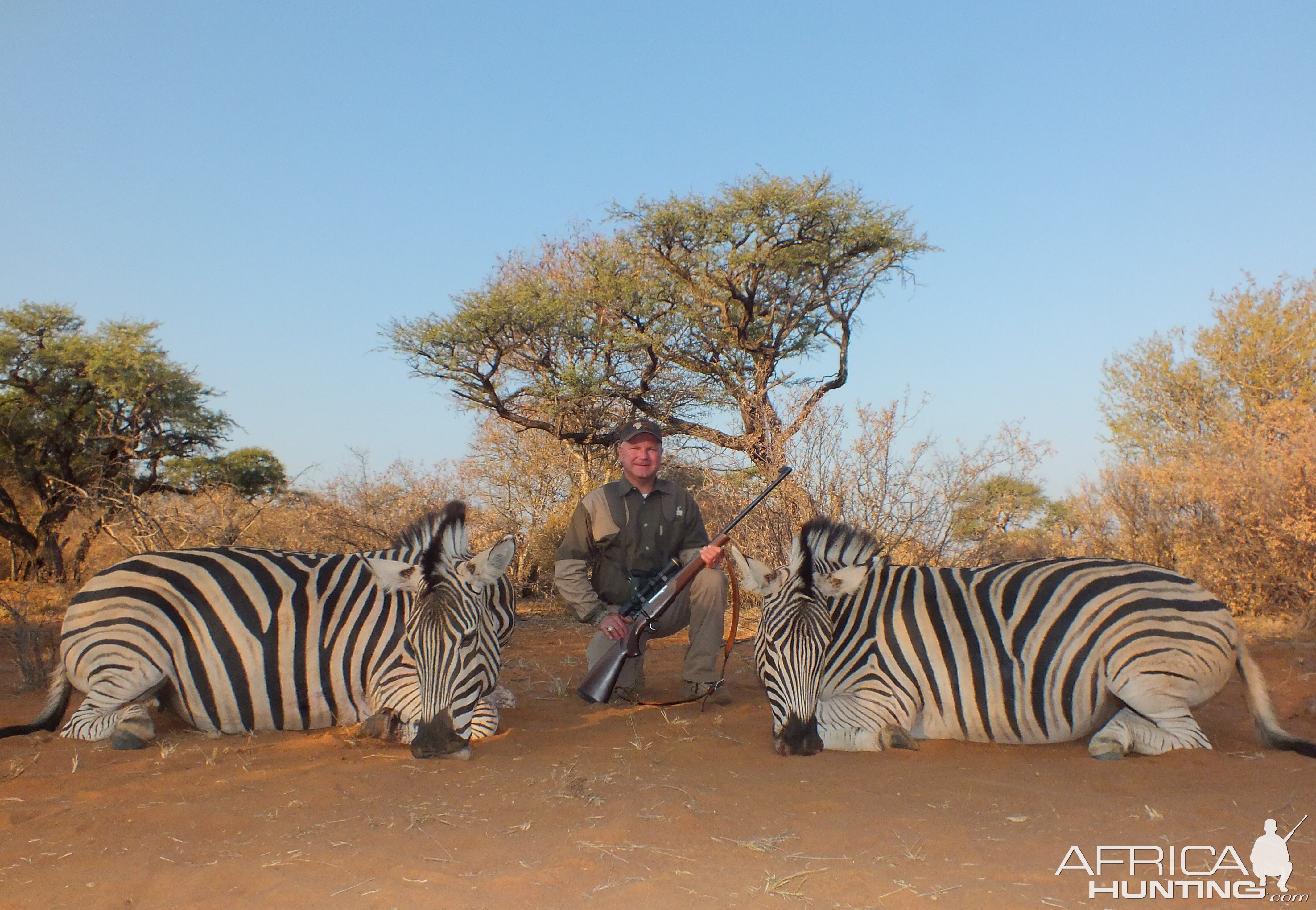 Zebra hunted with Limcroma Safaris