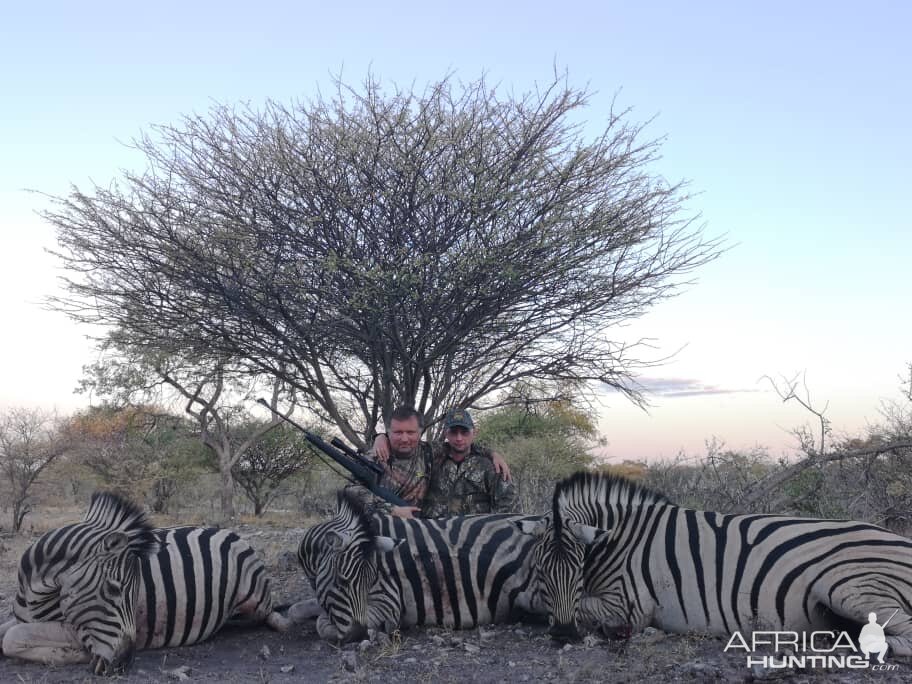 Zebra Hunting Botswana