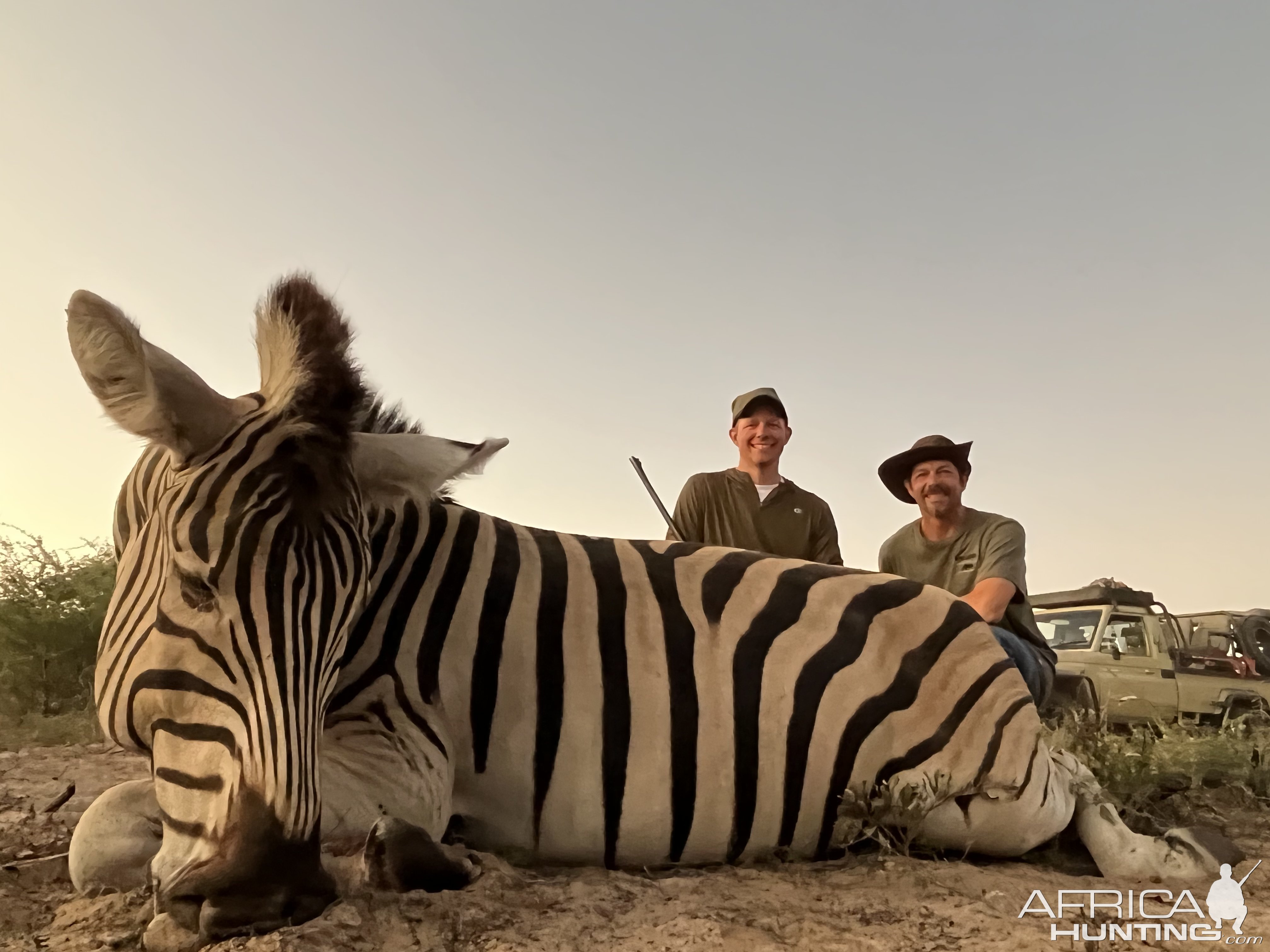 Zebra Hunting Botswana