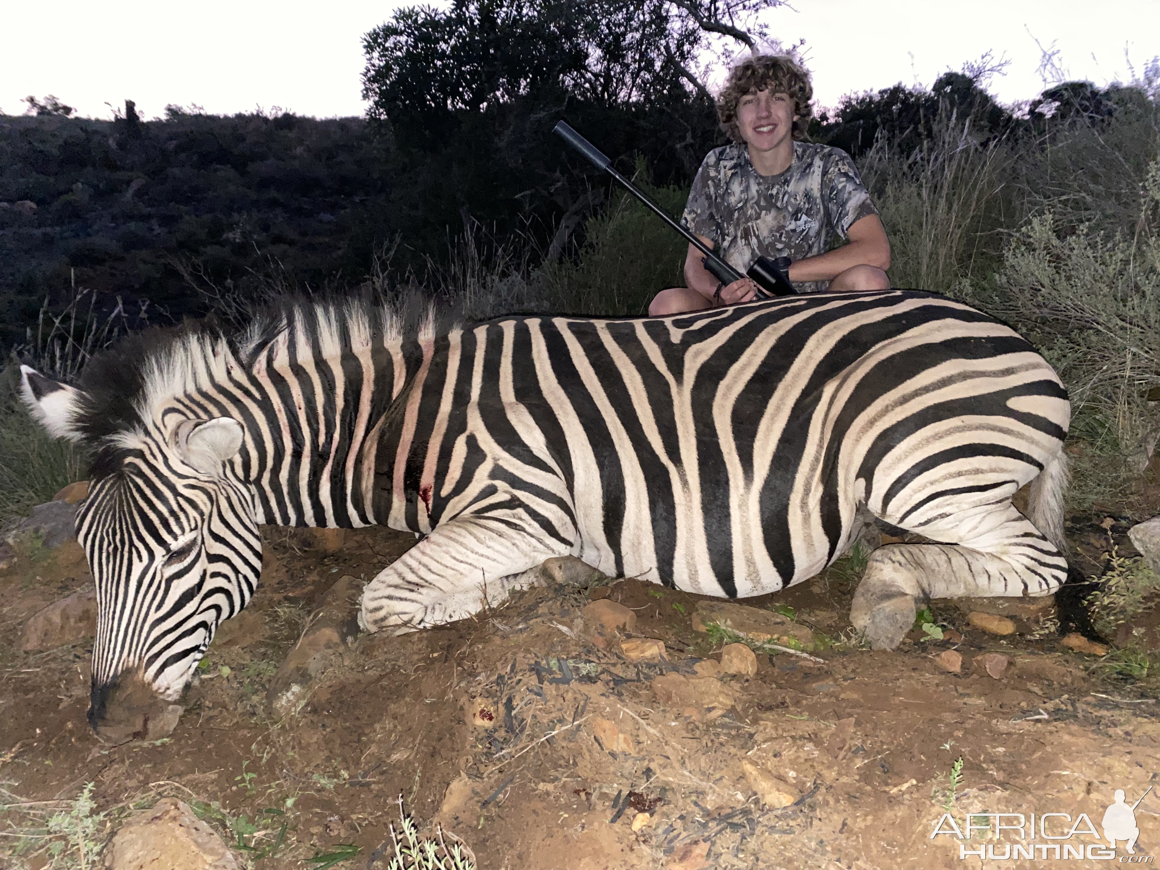 Zebra Hunting Eastern Cape South Africa