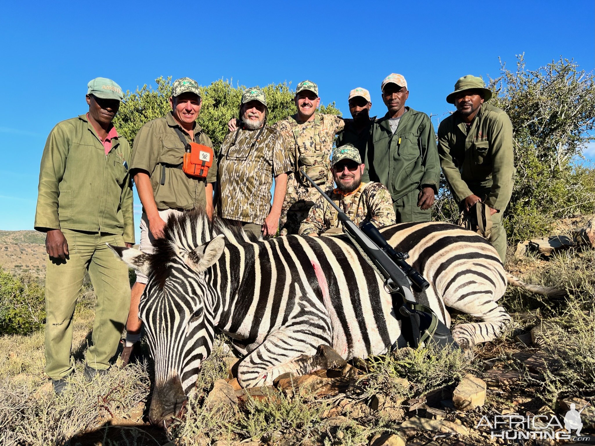 Zebra Hunting Eastern Cape South Africa