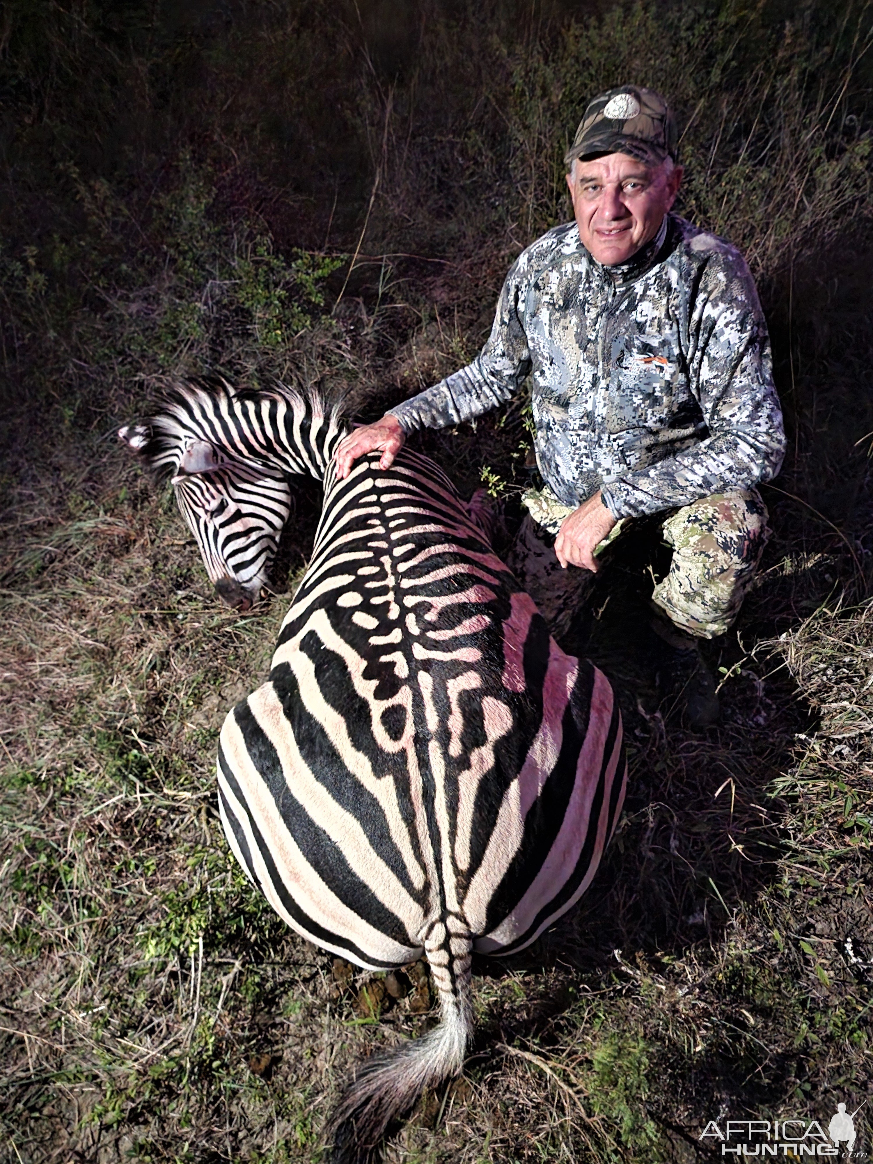 Zebra Hunting Eastern Cape South Africa