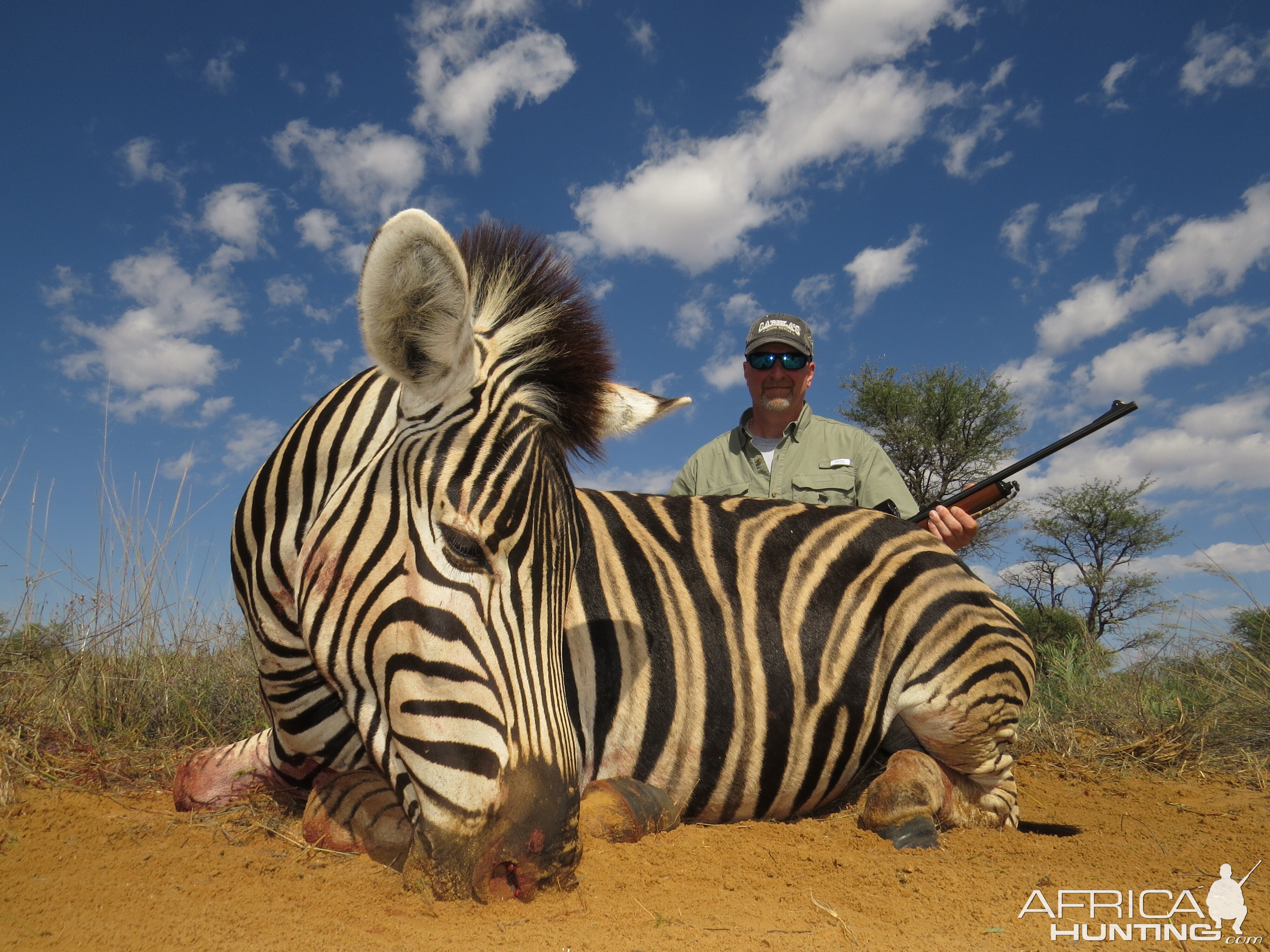 Zebra Hunting in South Africa