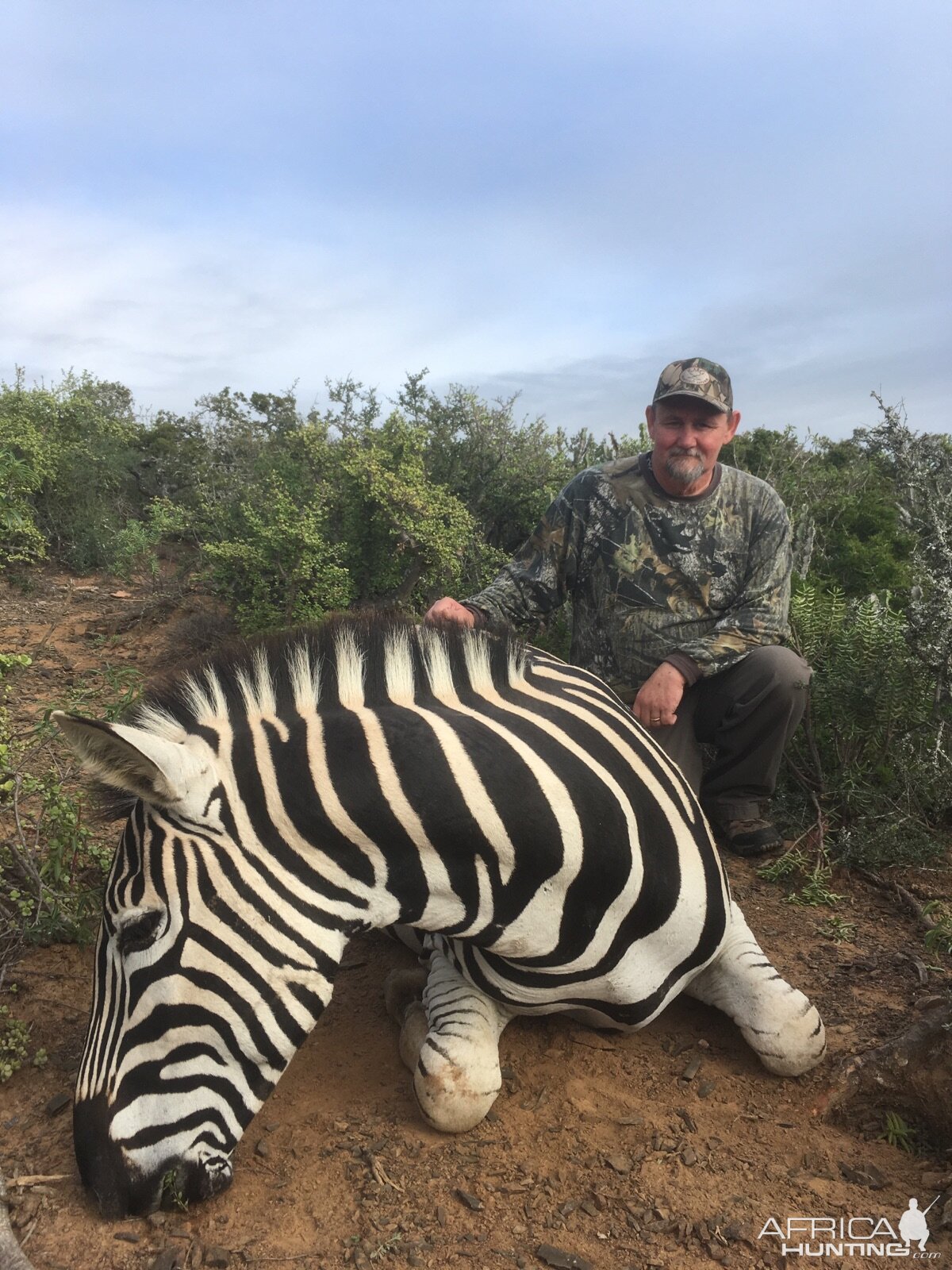 Zebra Hunting in South Africa