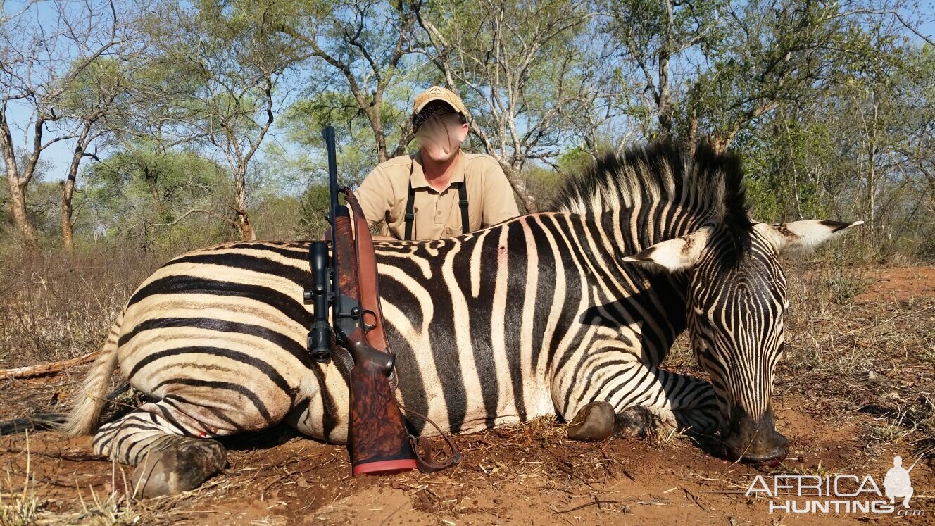 Zebra Hunting in Zimbabwe