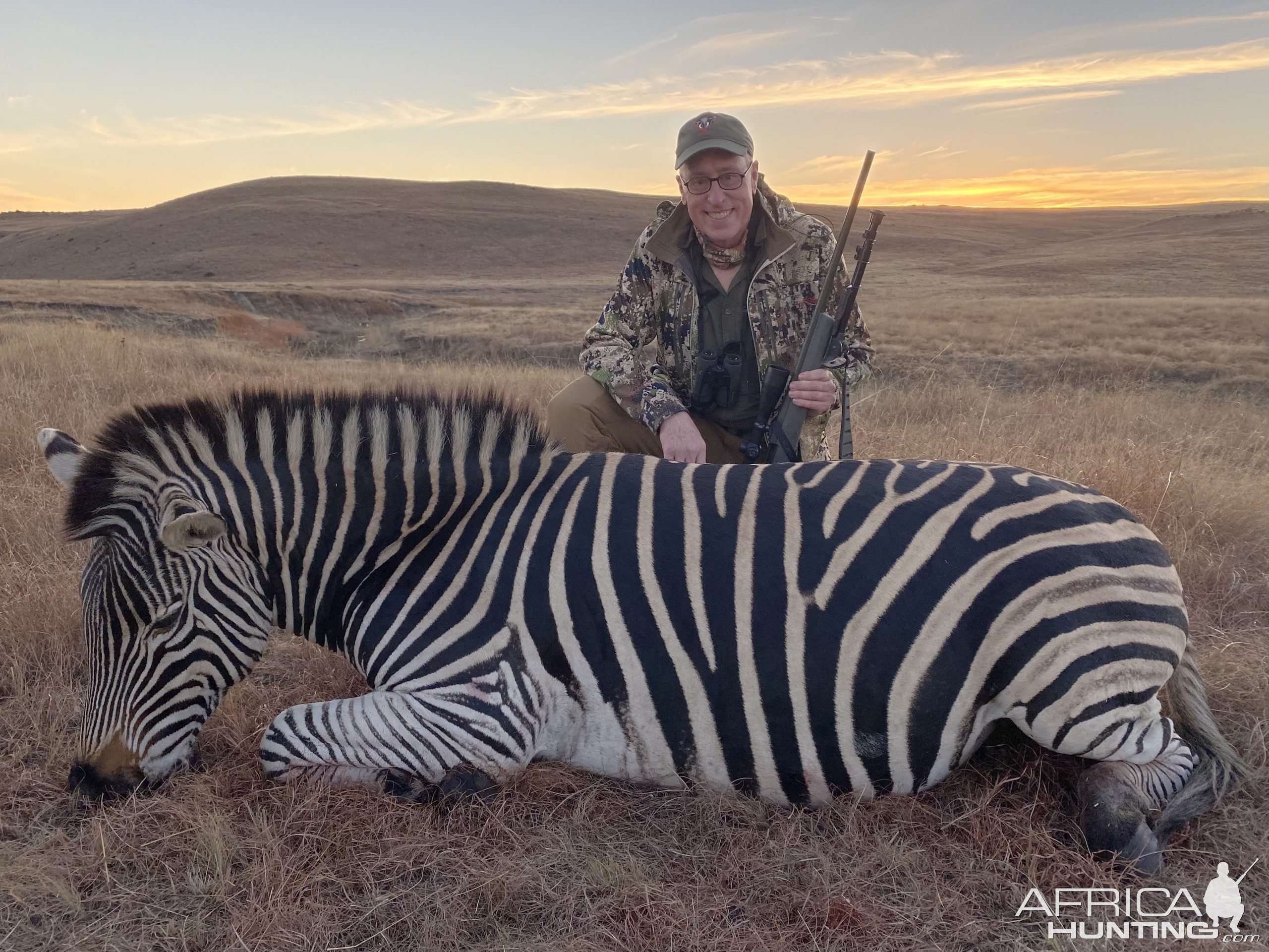 Zebra Hunting Limpopo South Africa